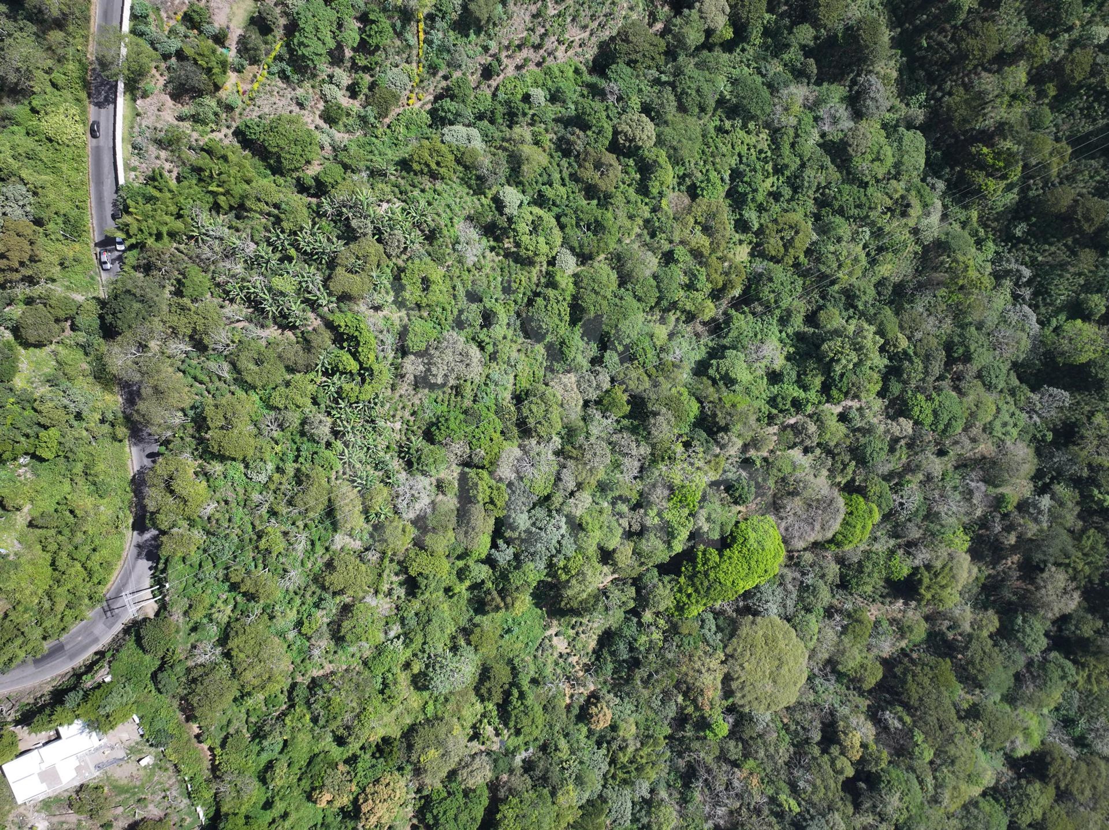 Terreno en venta en Santa Tecla