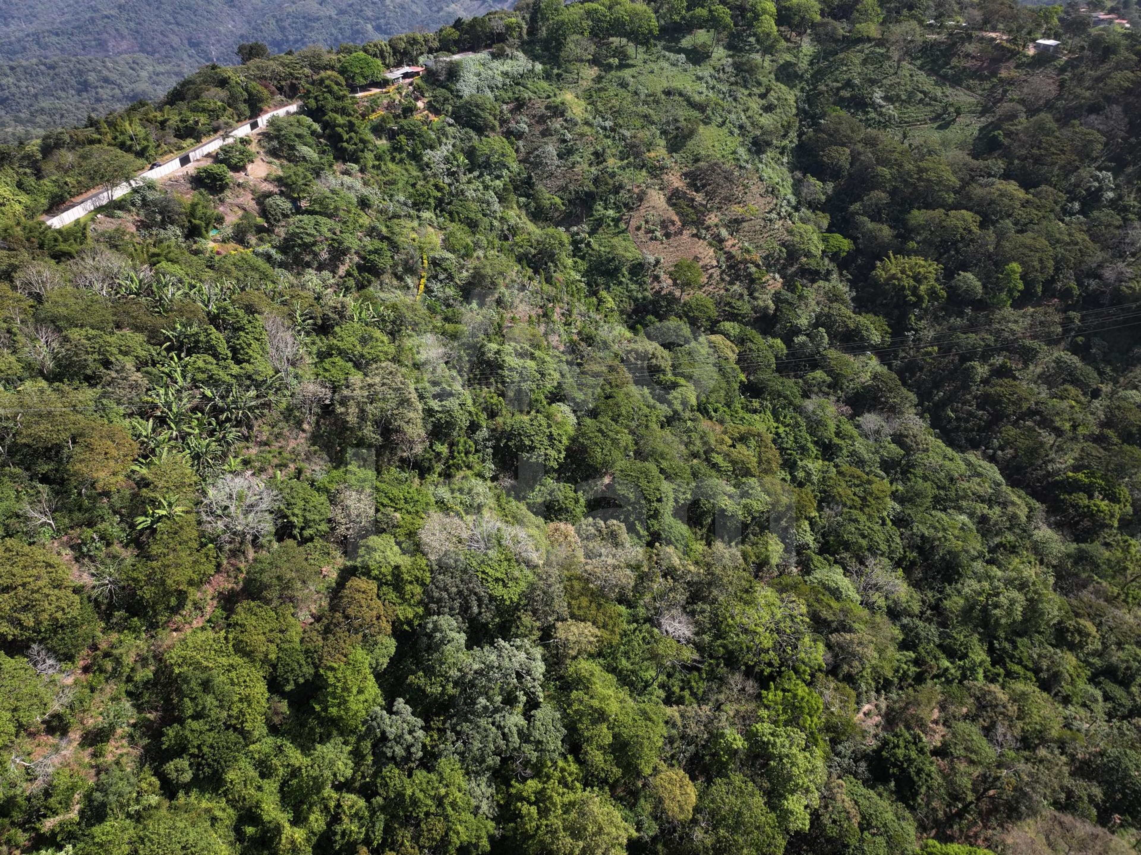 Terreno en venta en Santa Tecla