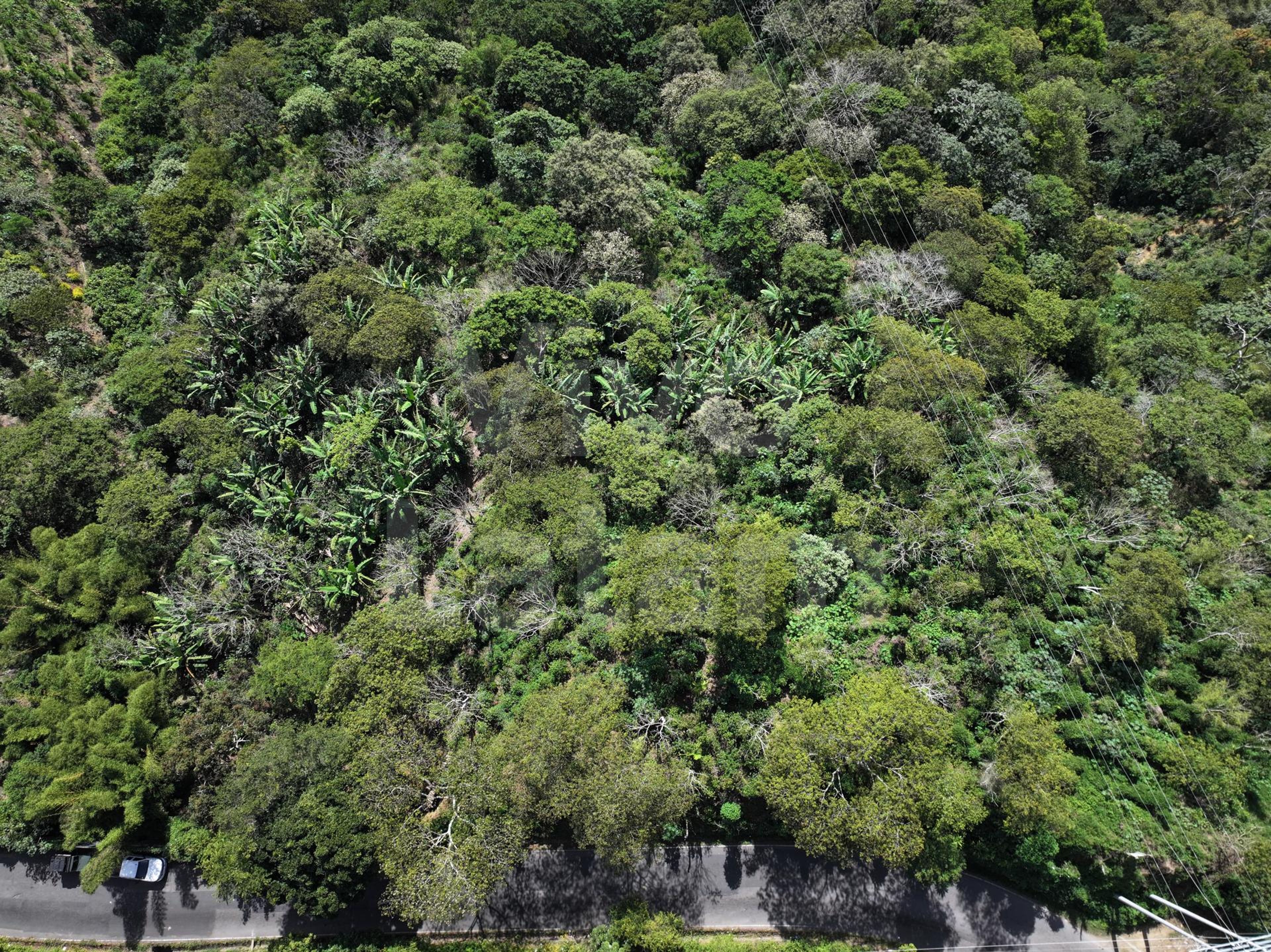 Terreno en venta en Santa Tecla