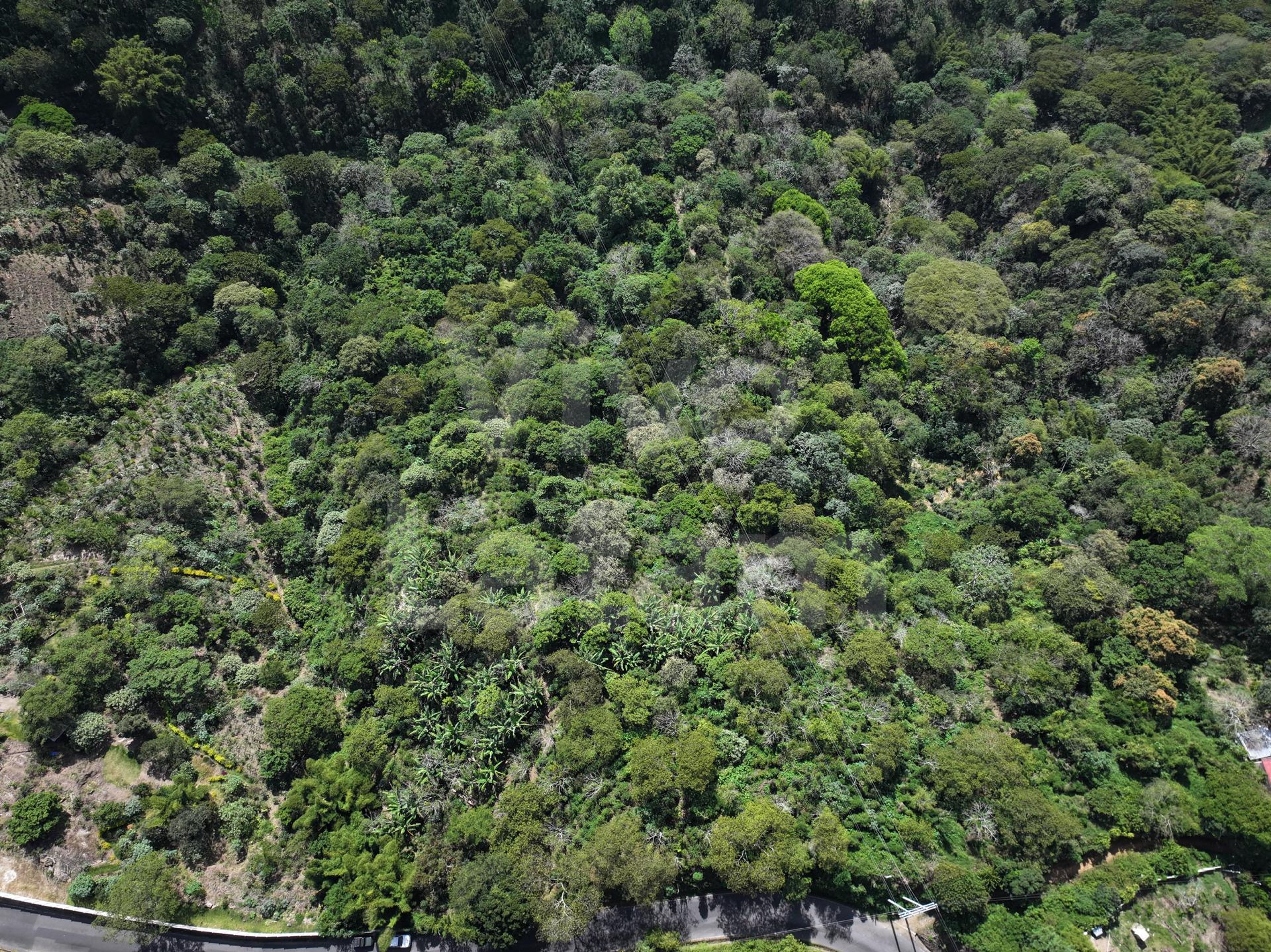 Terreno en venta en Santa Tecla