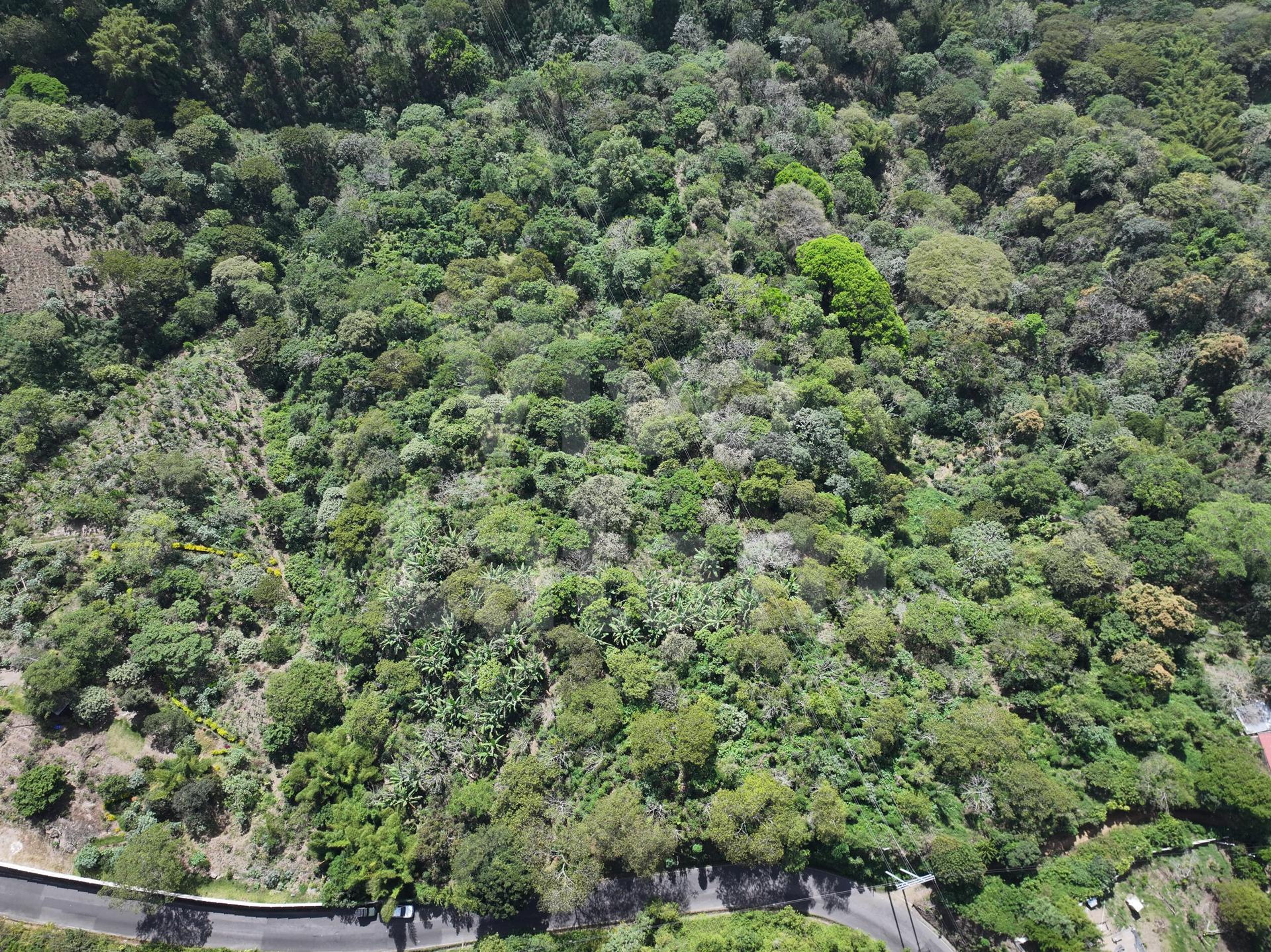 Terreno en venta en Santa Tecla