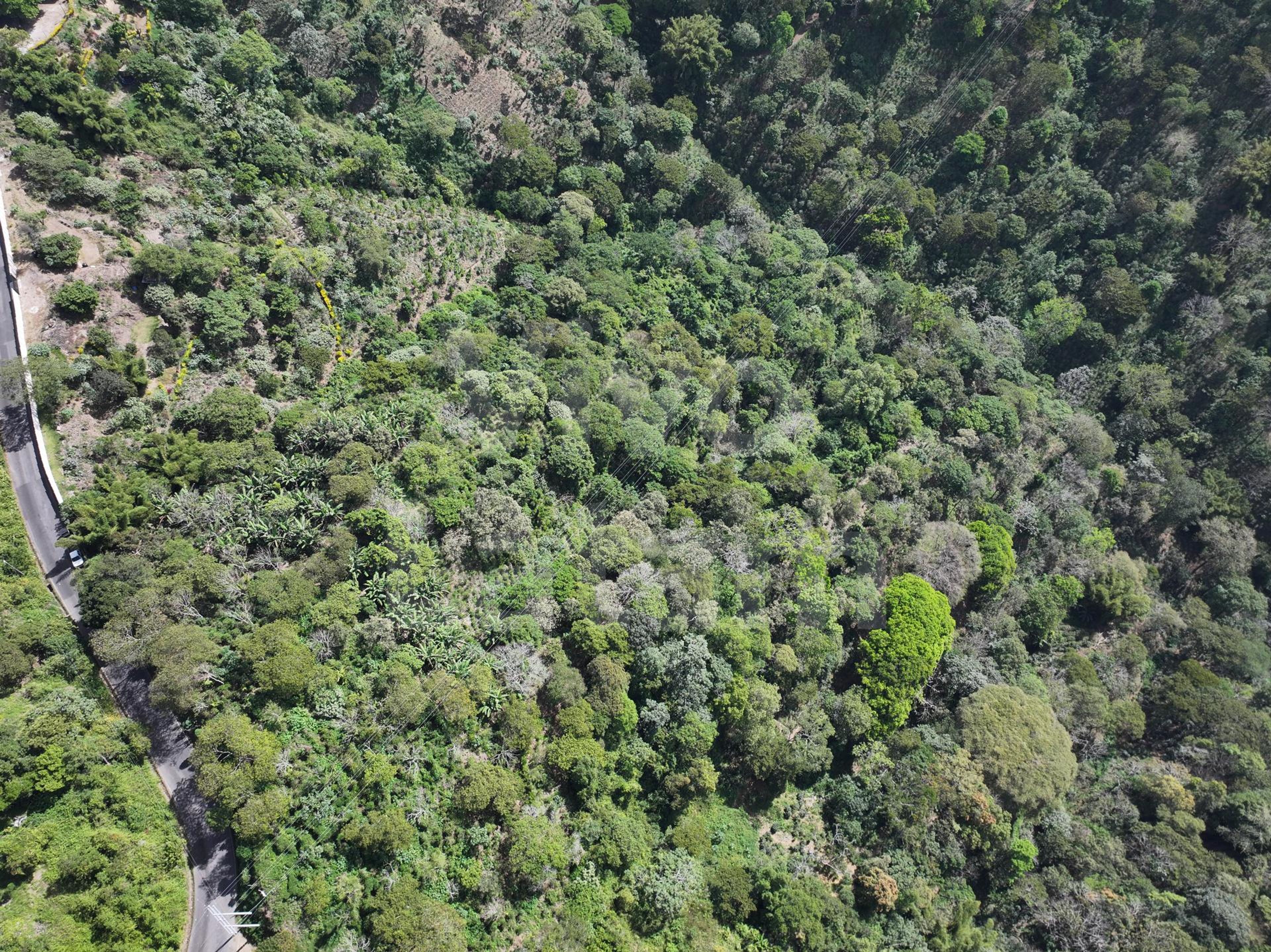 Terreno en venta en Santa Tecla