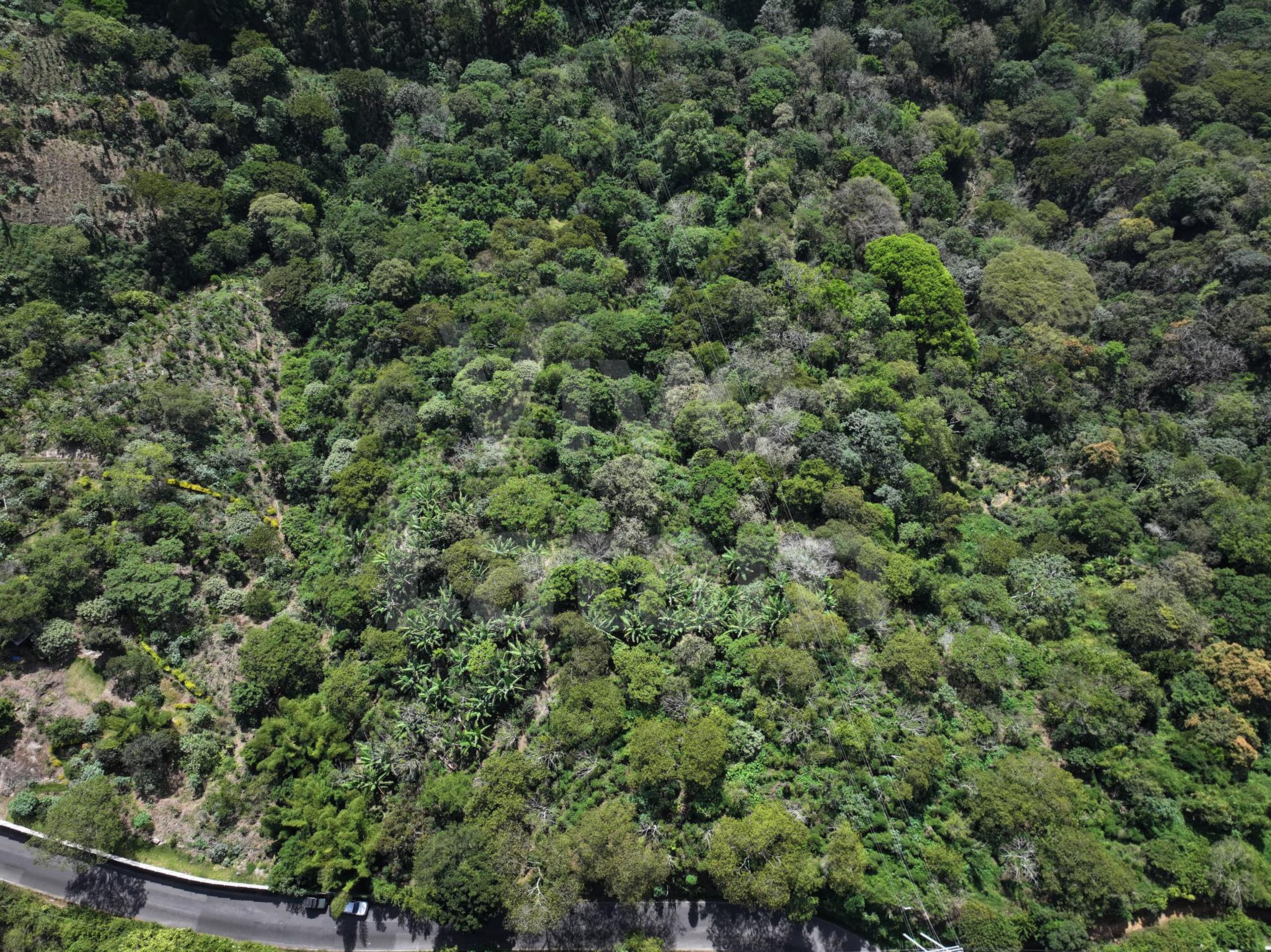 Terreno en venta en Santa Tecla