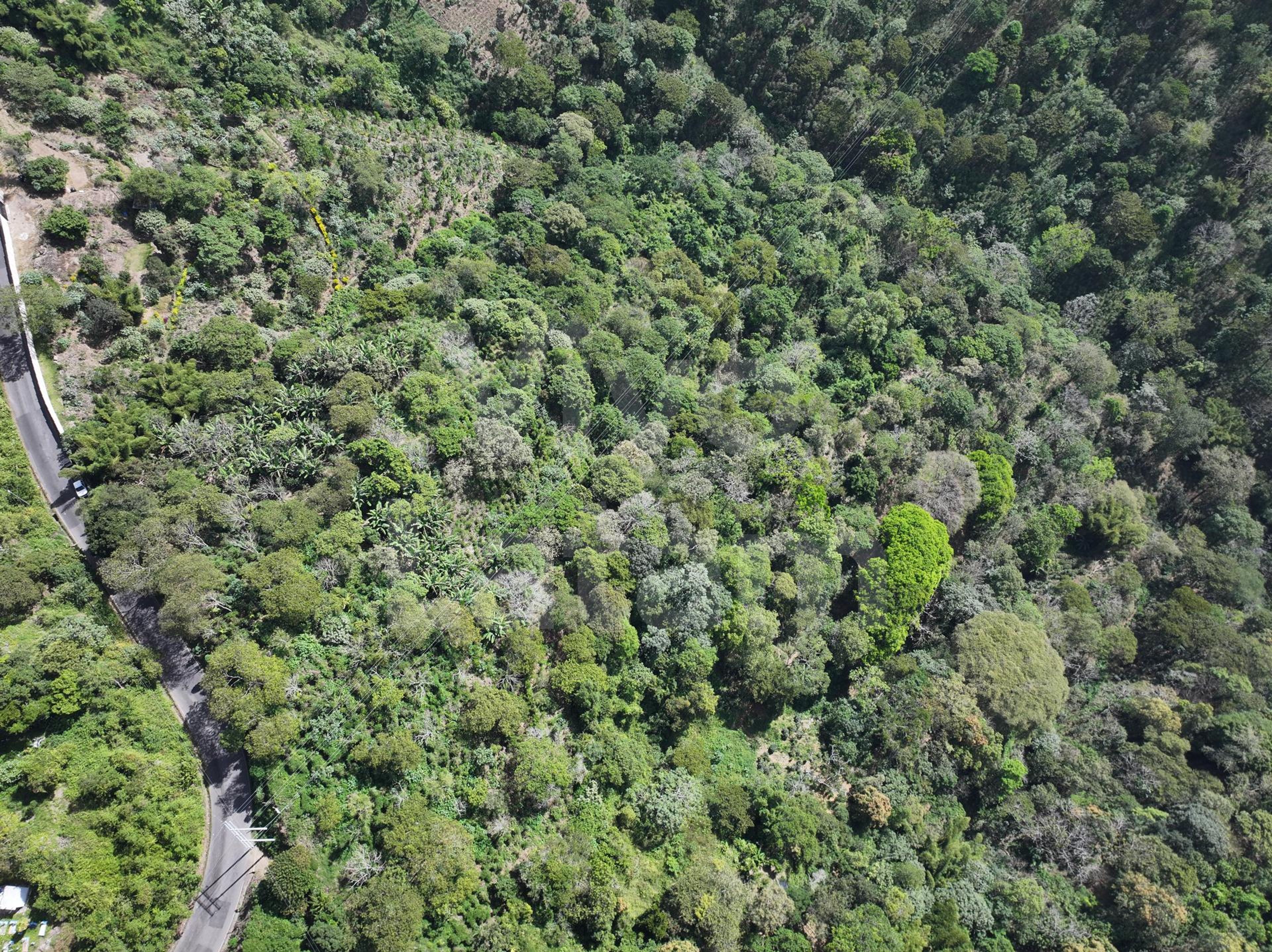 Terreno en venta en Santa Tecla