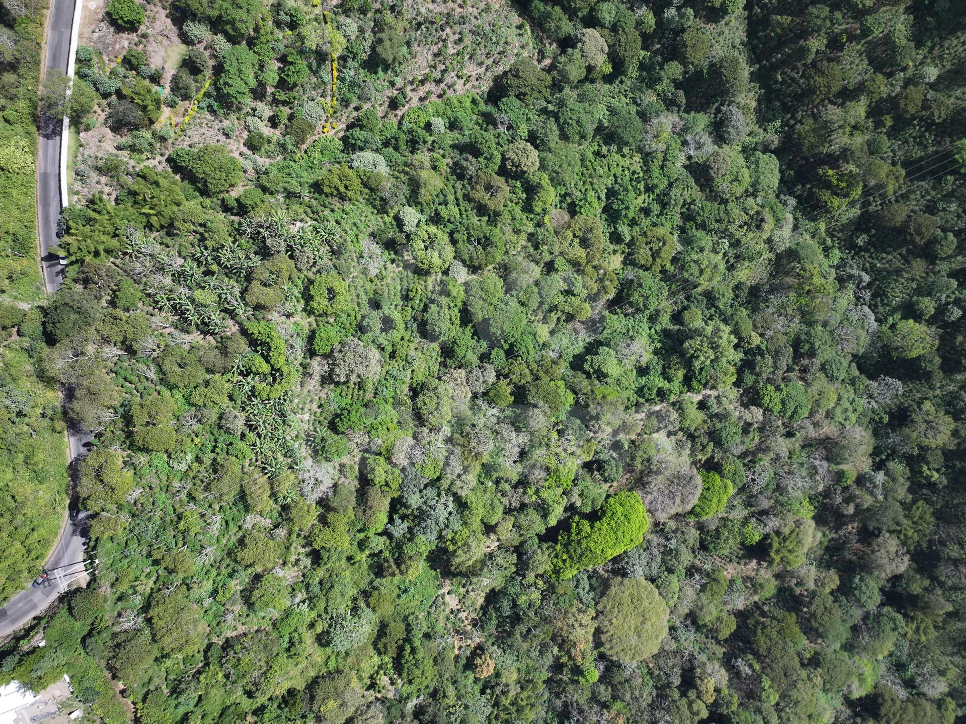 Terreno en venta en Santa Tecla
