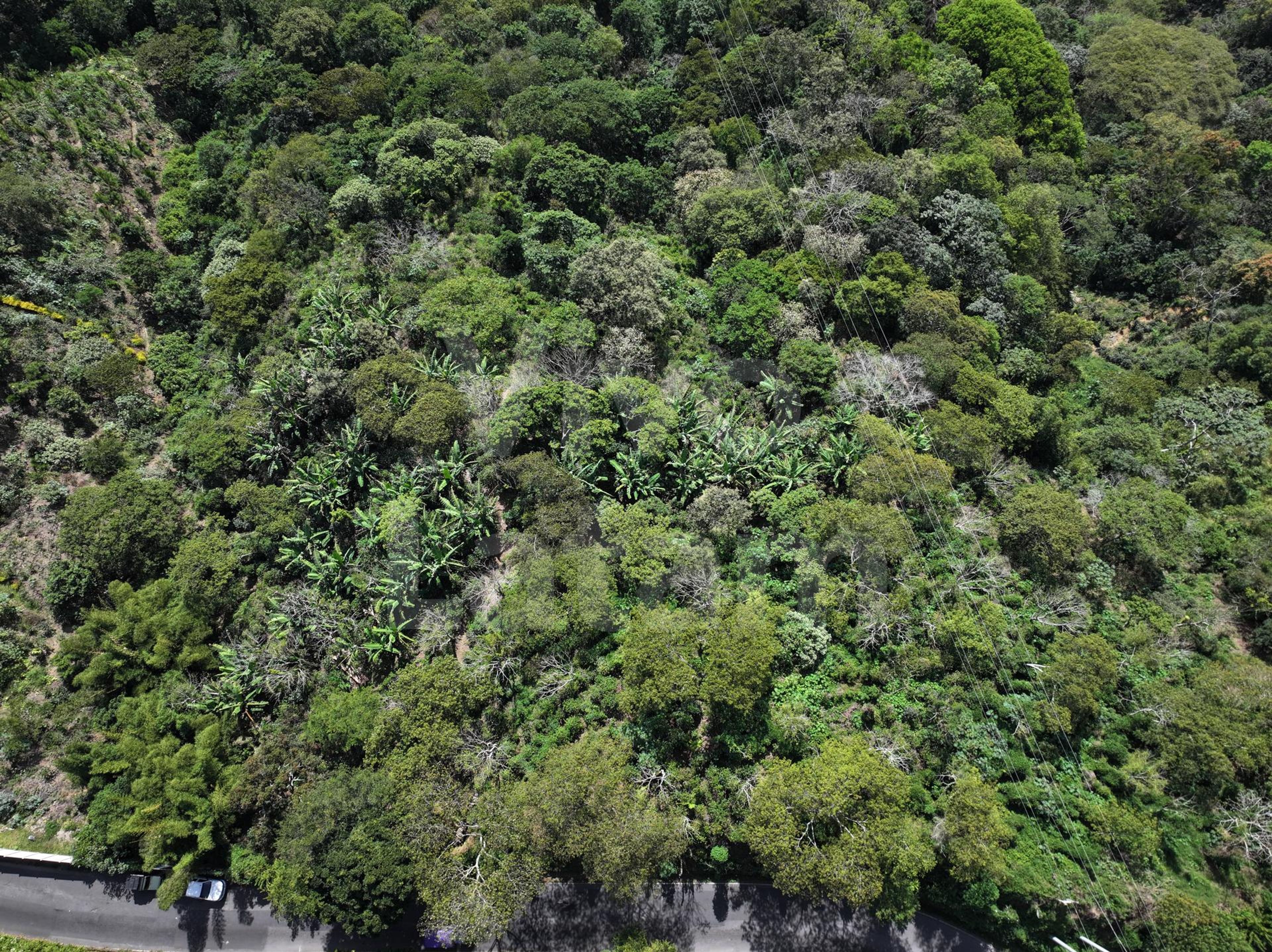 Terreno en venta en Santa Tecla
