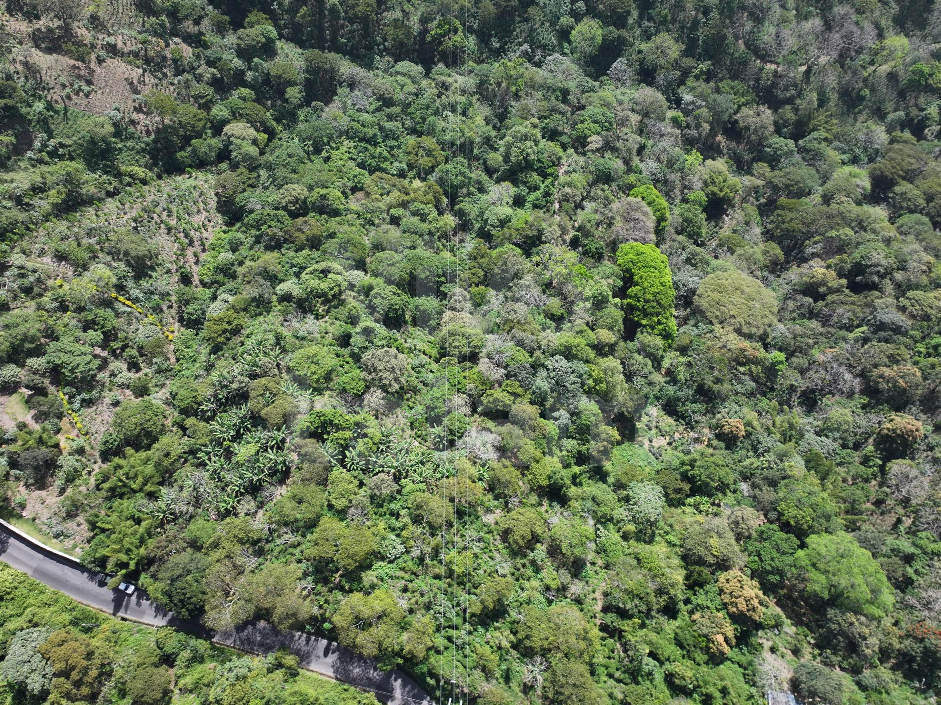 Terreno en venta en Santa Tecla
