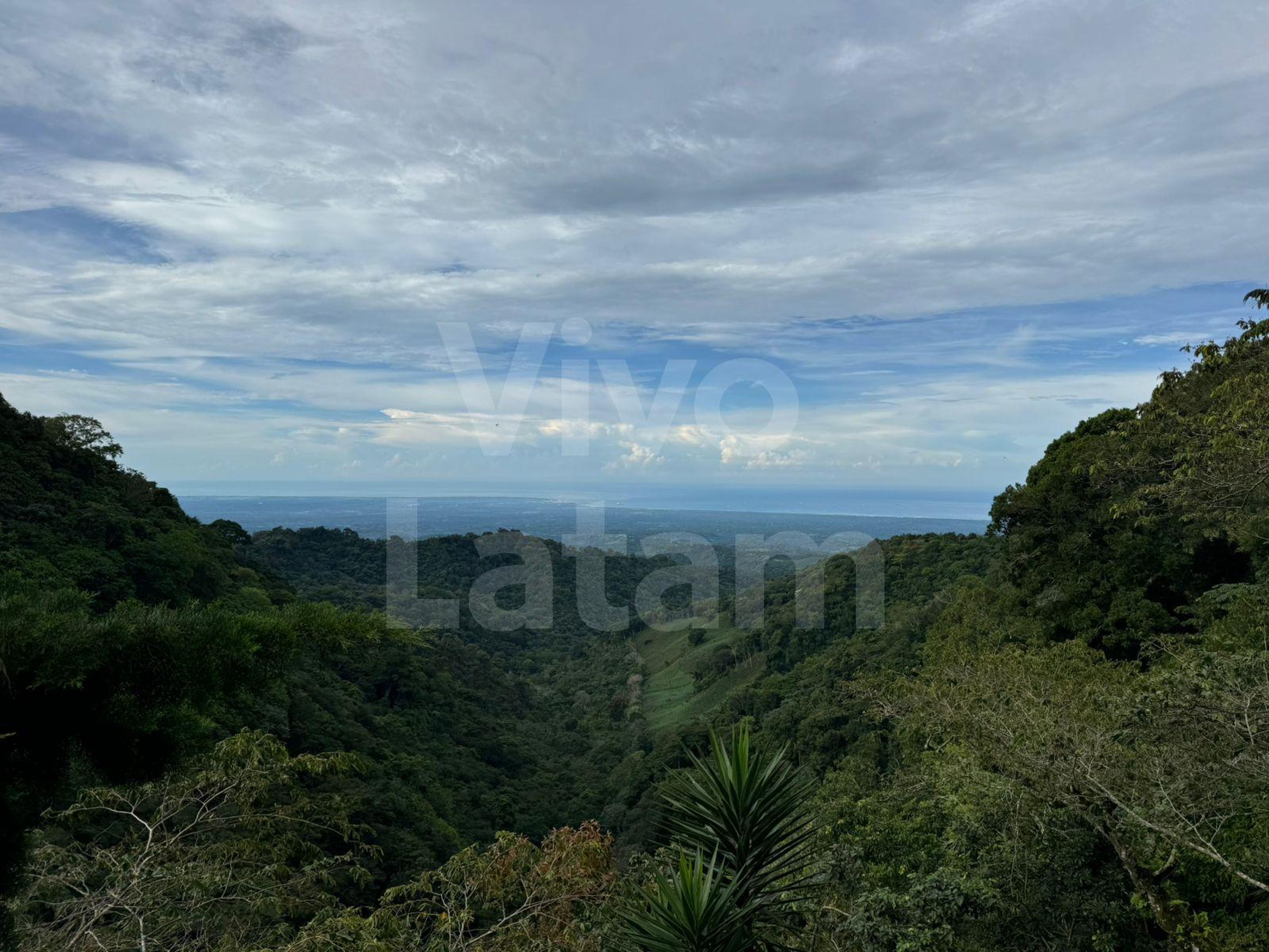 Land for sale in Concepción De Ataco