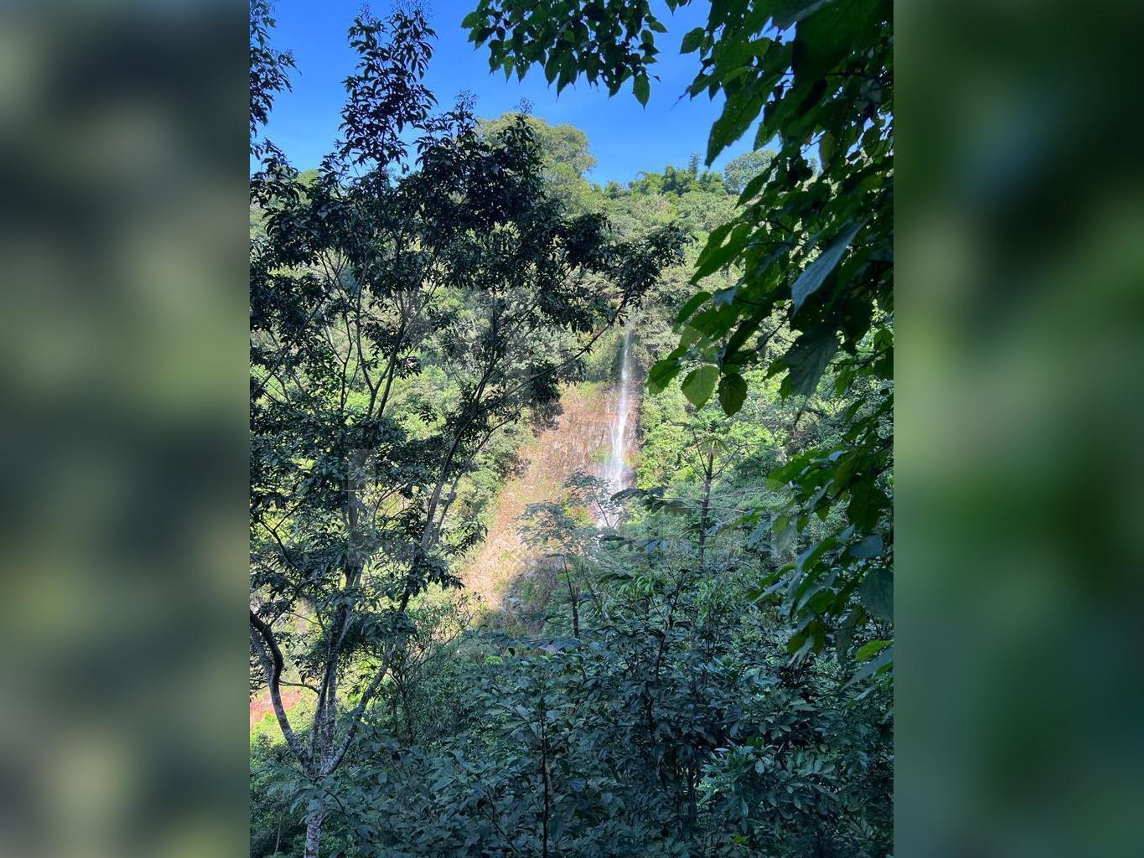 Land for sale in Concepción De Ataco