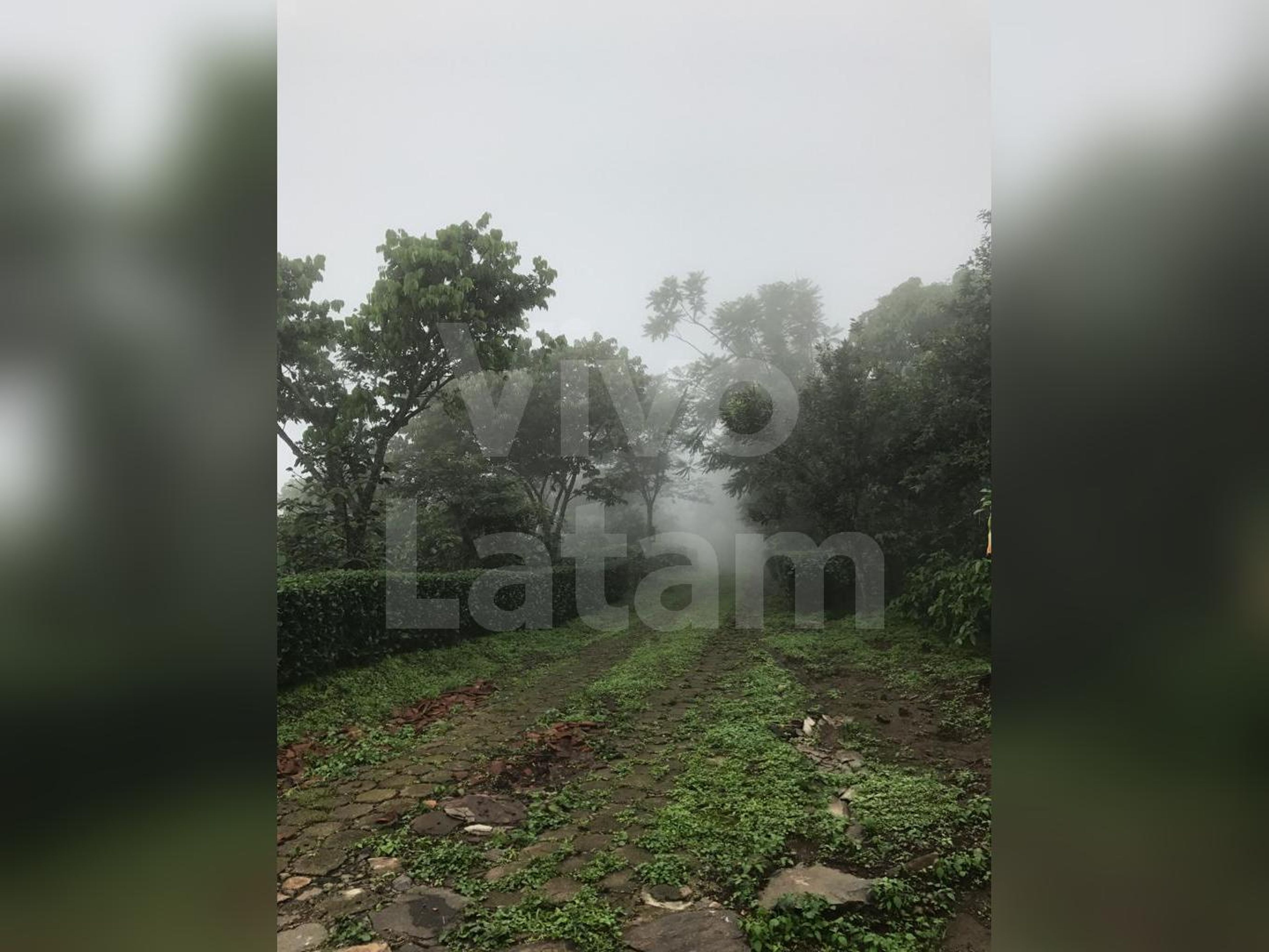 Land for sale in Concepción De Ataco