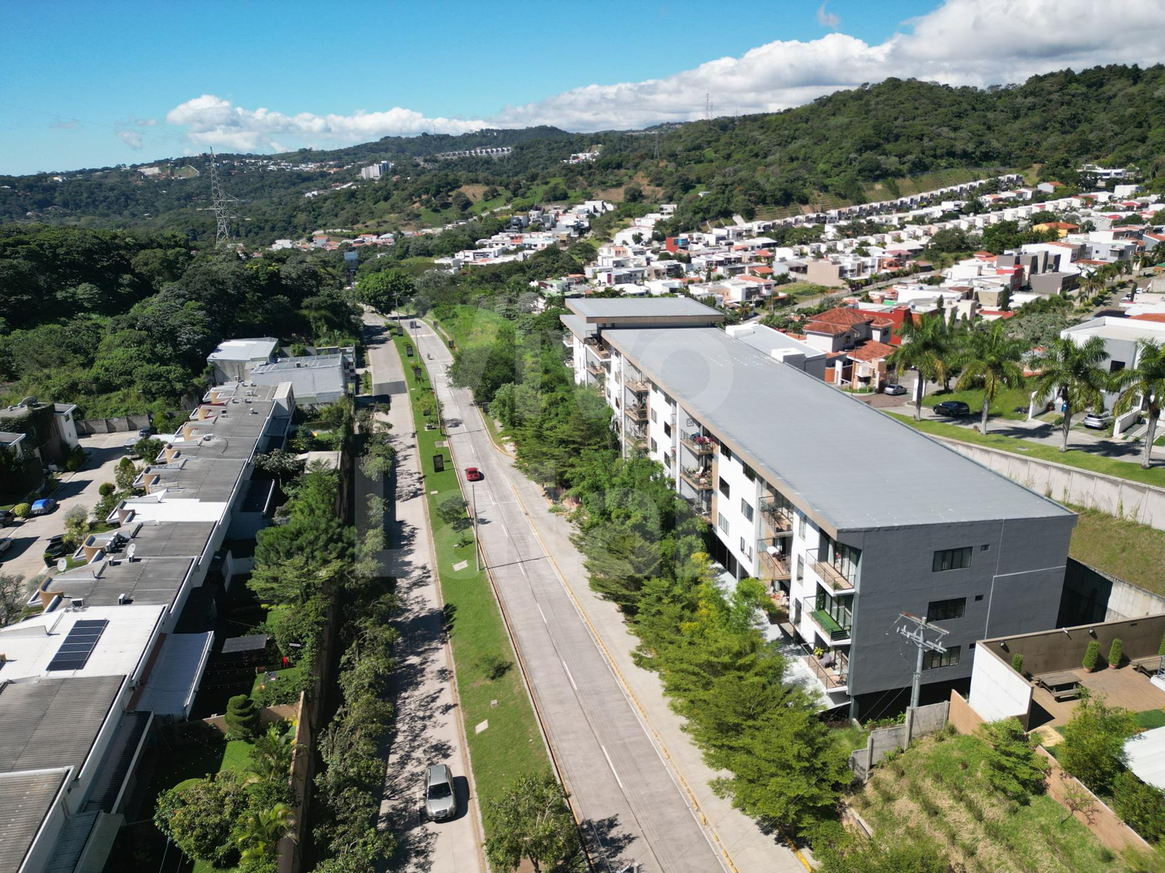 LIFE Santa Elena — foto 6