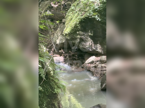 Land for sale in Comasagua