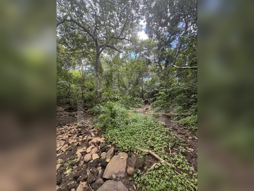 Land for sale in Comasagua