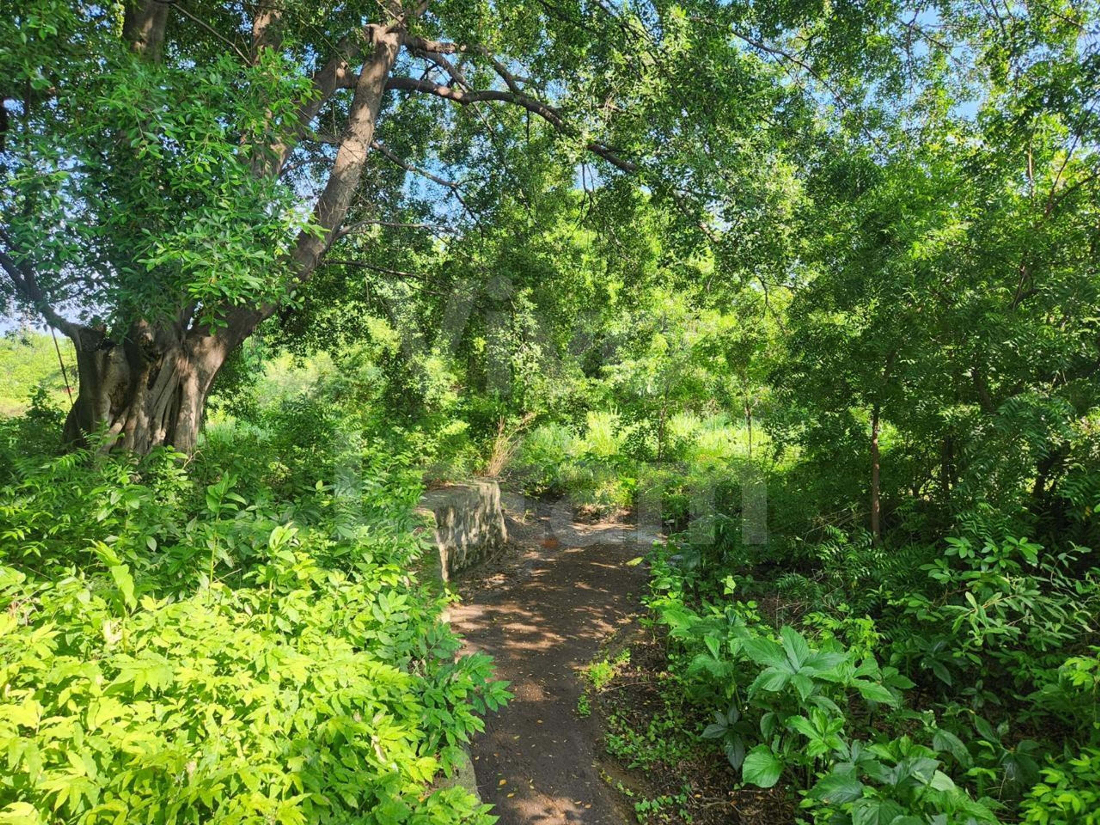 Terreno industrial en venta en Acajutla