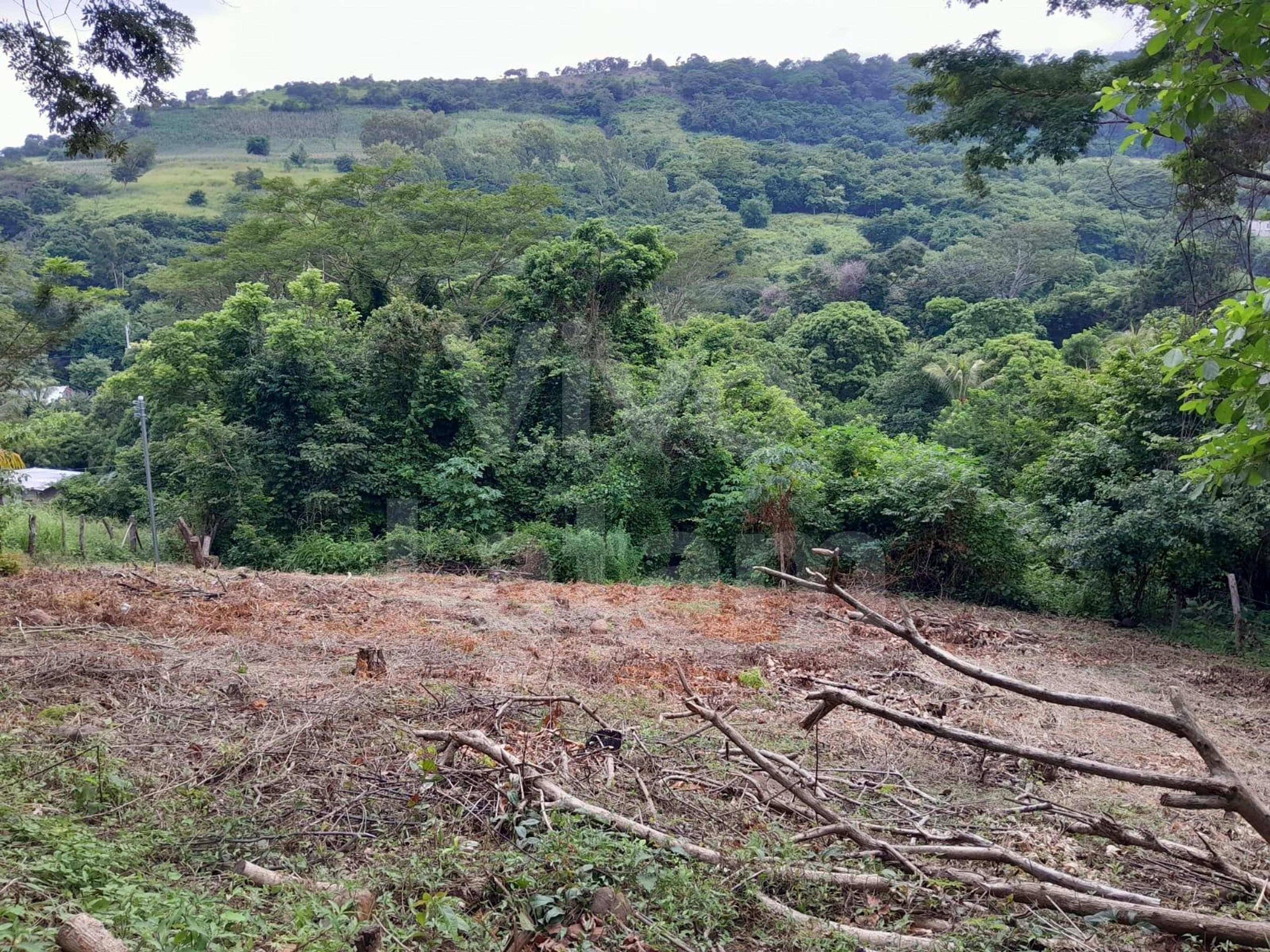 Inmuebles comerciales en venta y alquiler en Chiltiupán