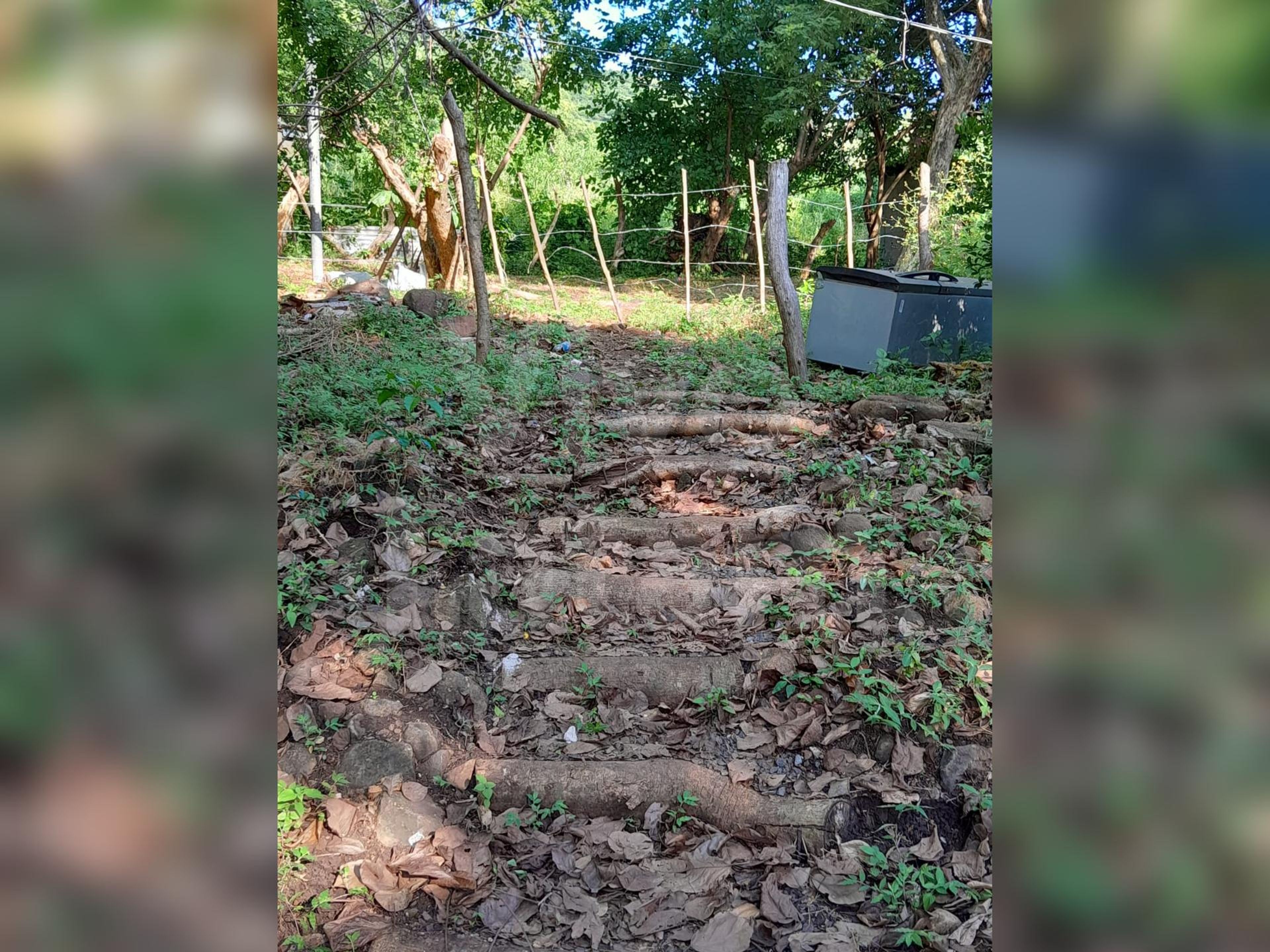 Inmuebles comerciales en venta y alquiler en Chiltiupán