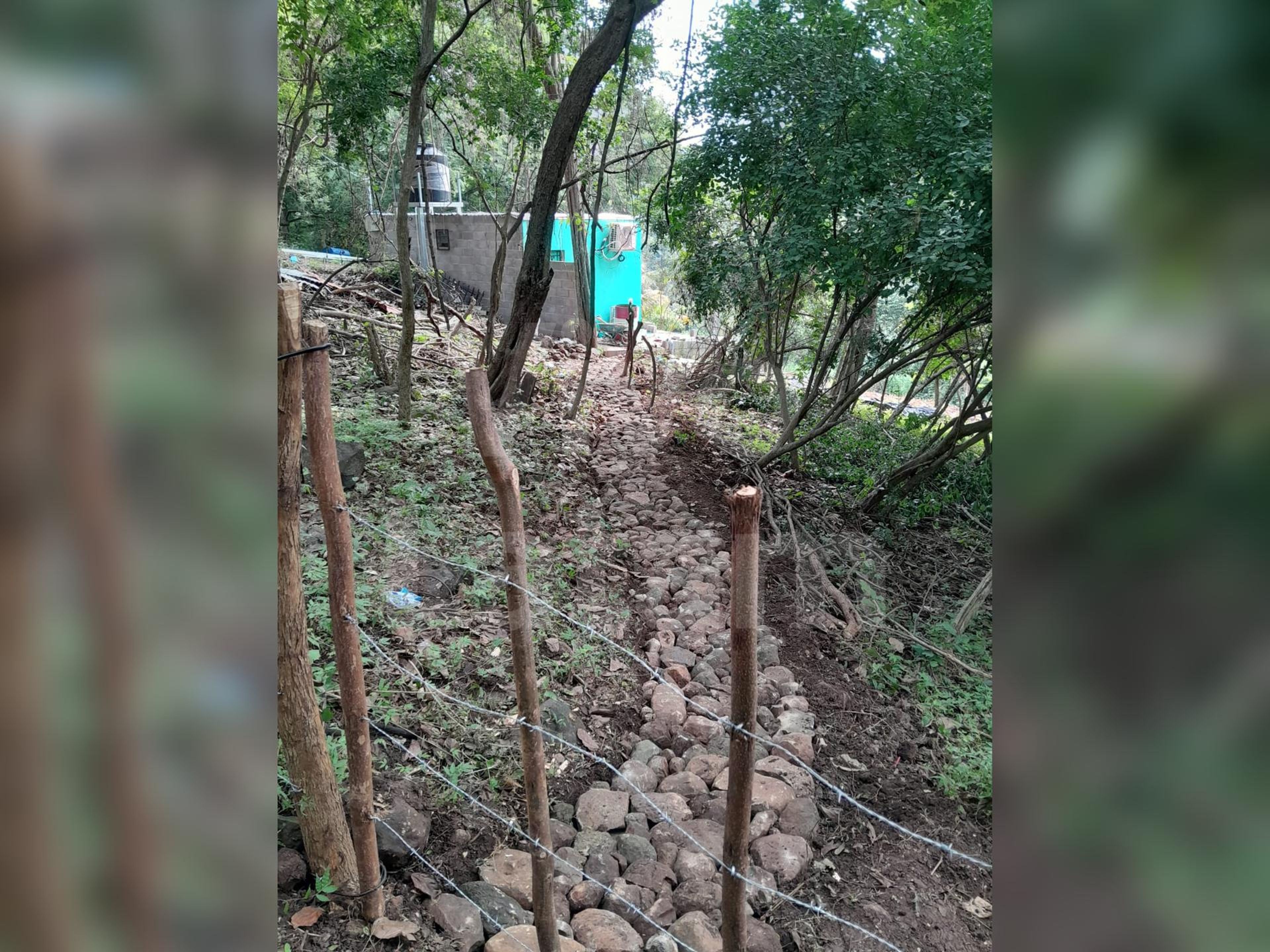 Inmuebles comerciales en venta y alquiler en Chiltiupán