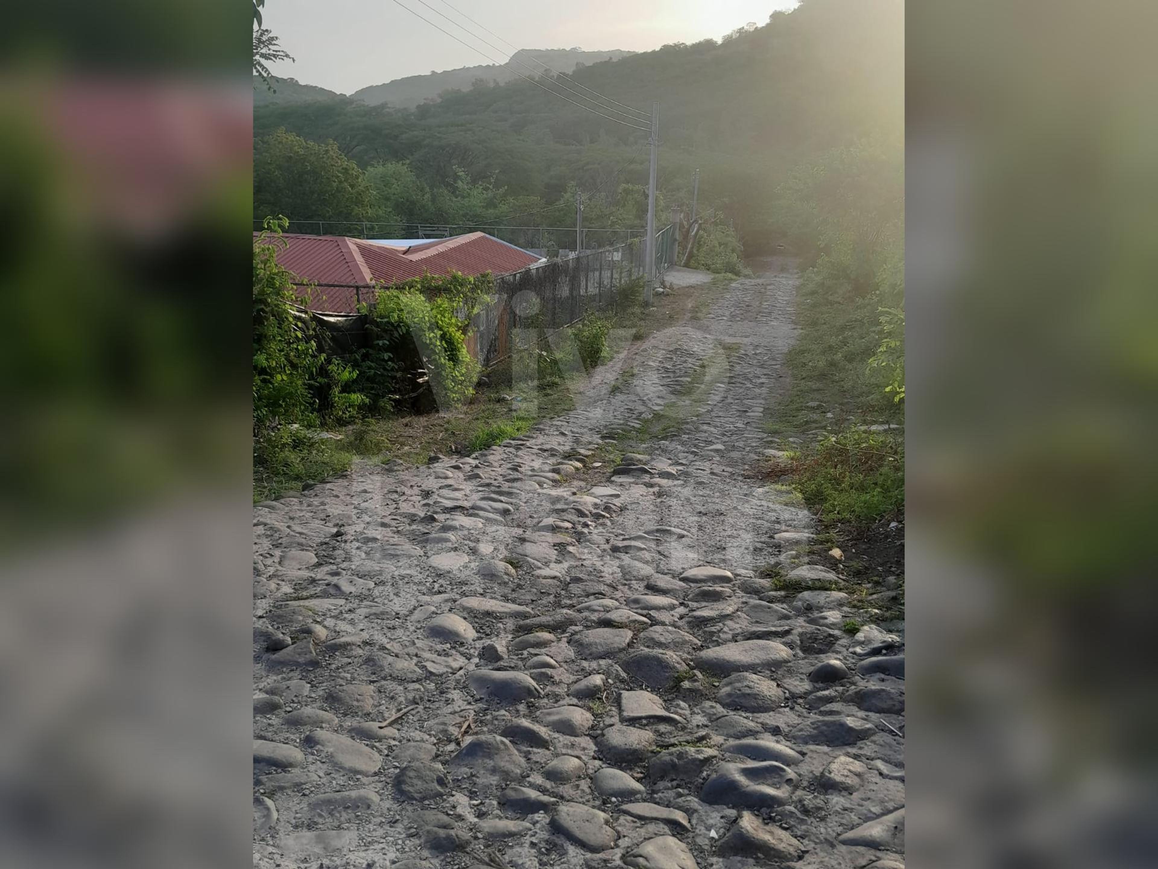 Inmuebles comerciales en venta y alquiler en Chiltiupán