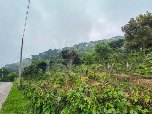 Land for sale in El Boqueron