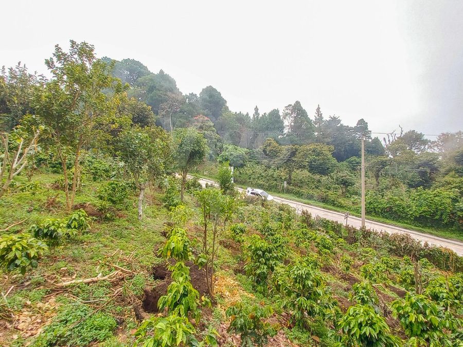 Land for sale in El Boqueron