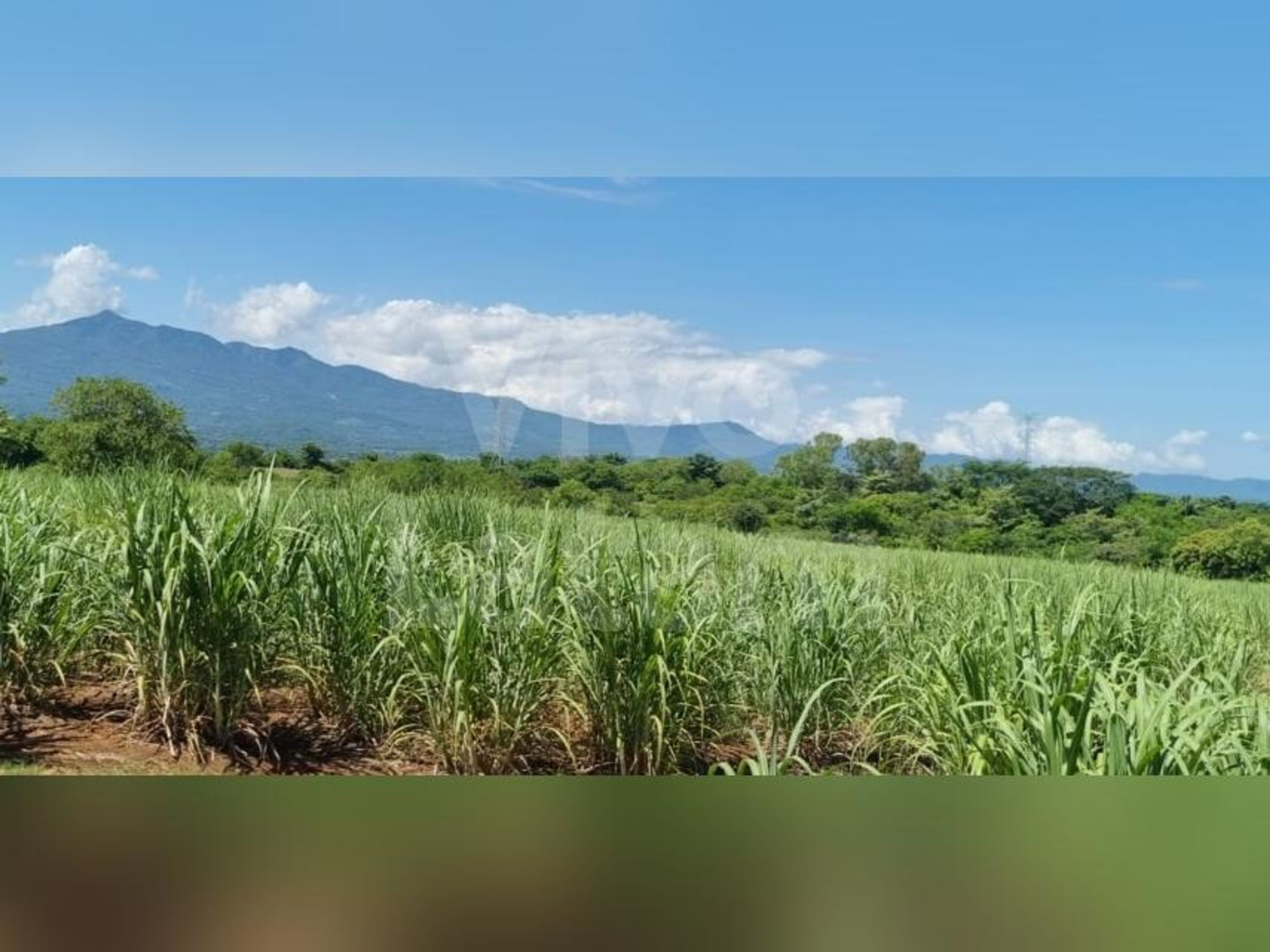 Land for sale in Atiquizaya