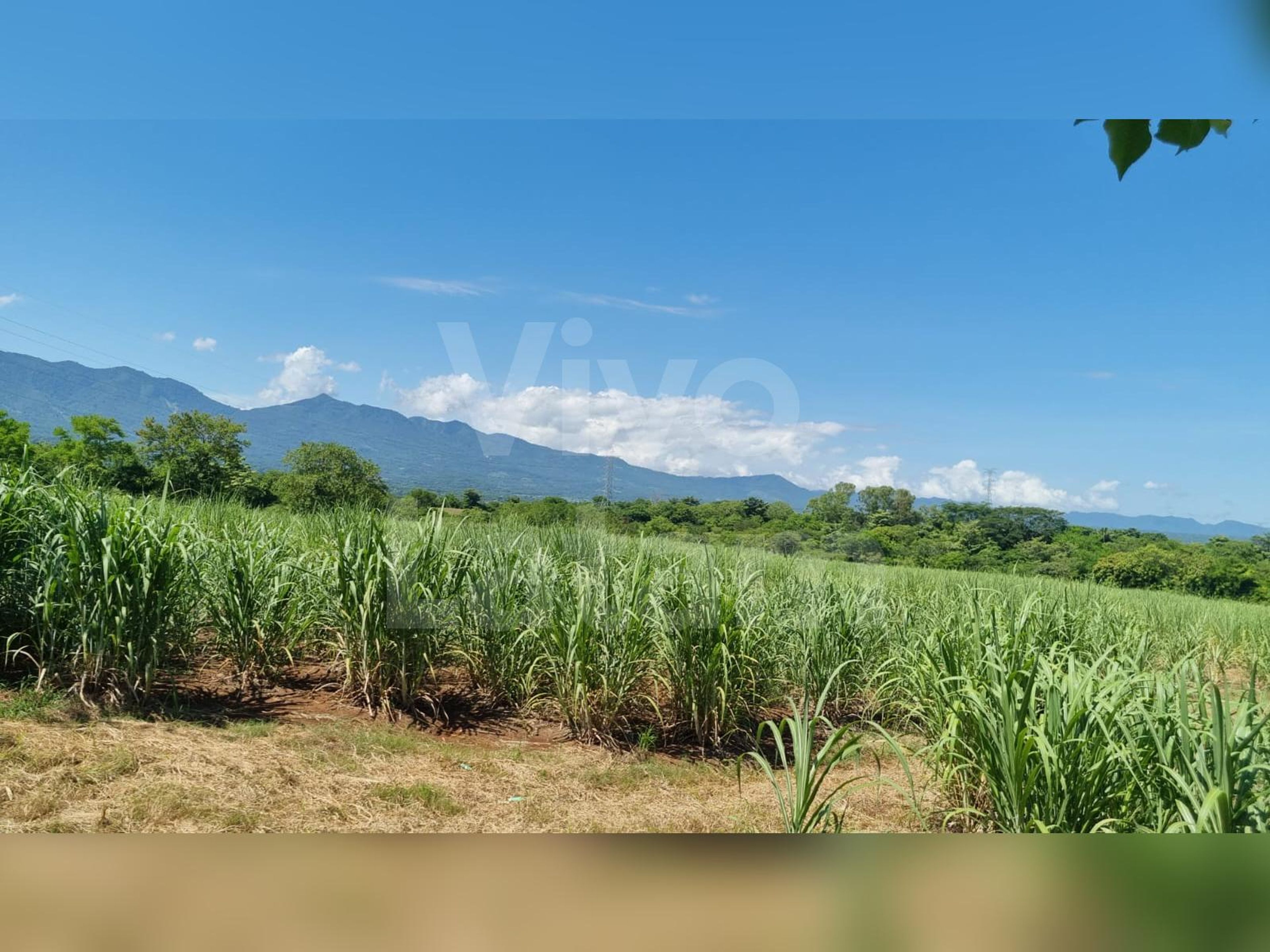 Land for sale in Atiquizaya