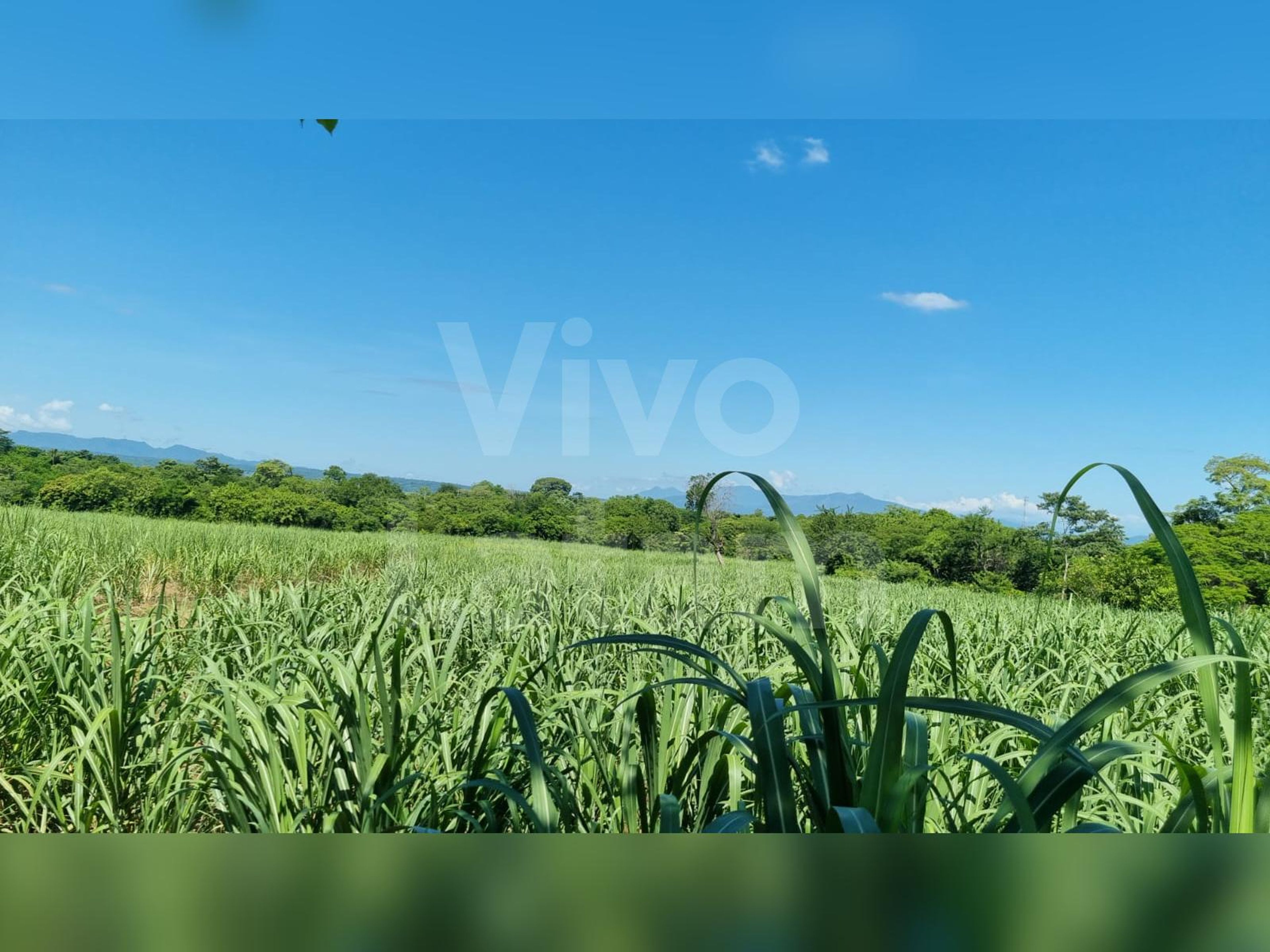 Land for sale in Atiquizaya