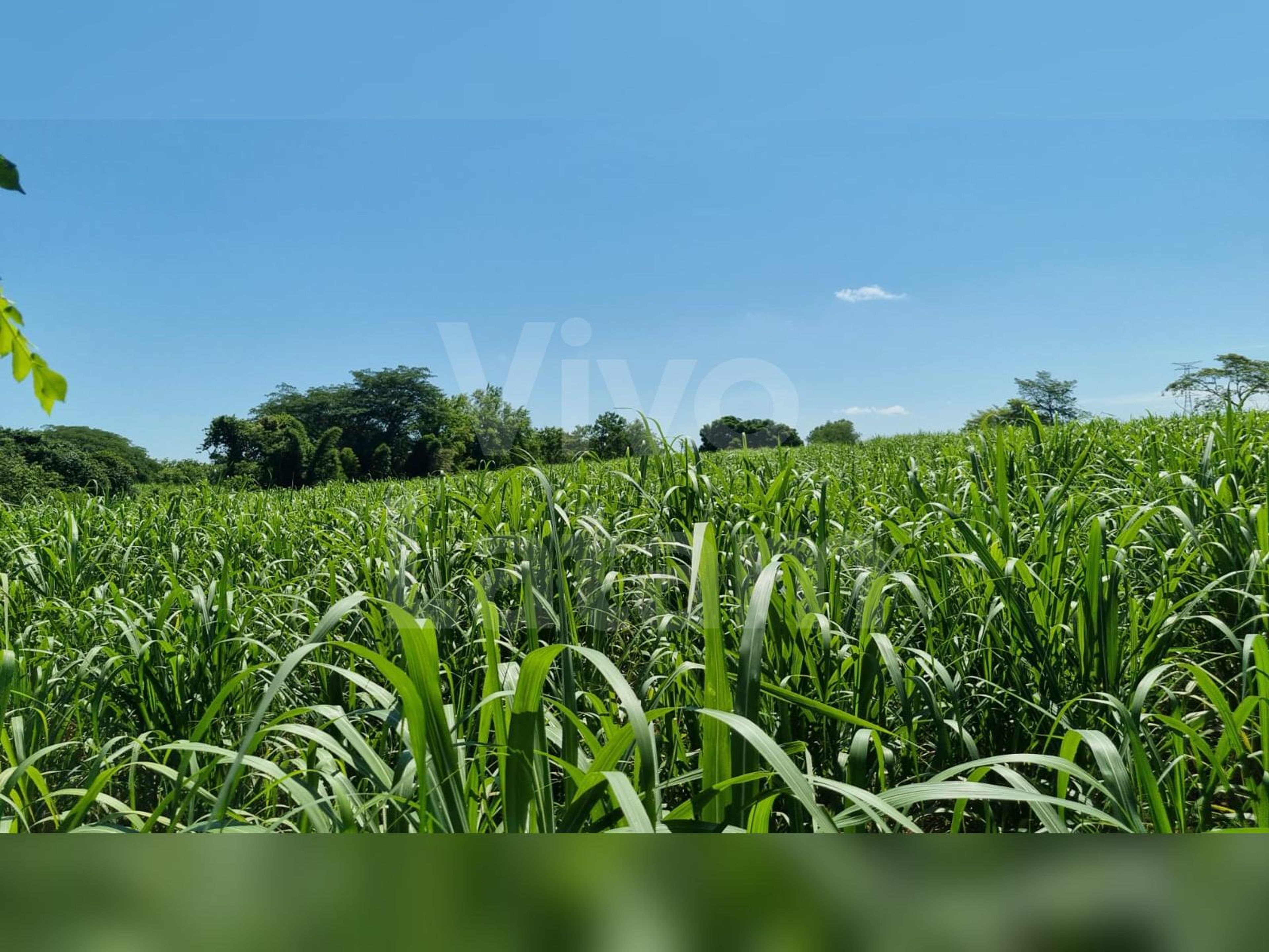 Land for sale in Atiquizaya