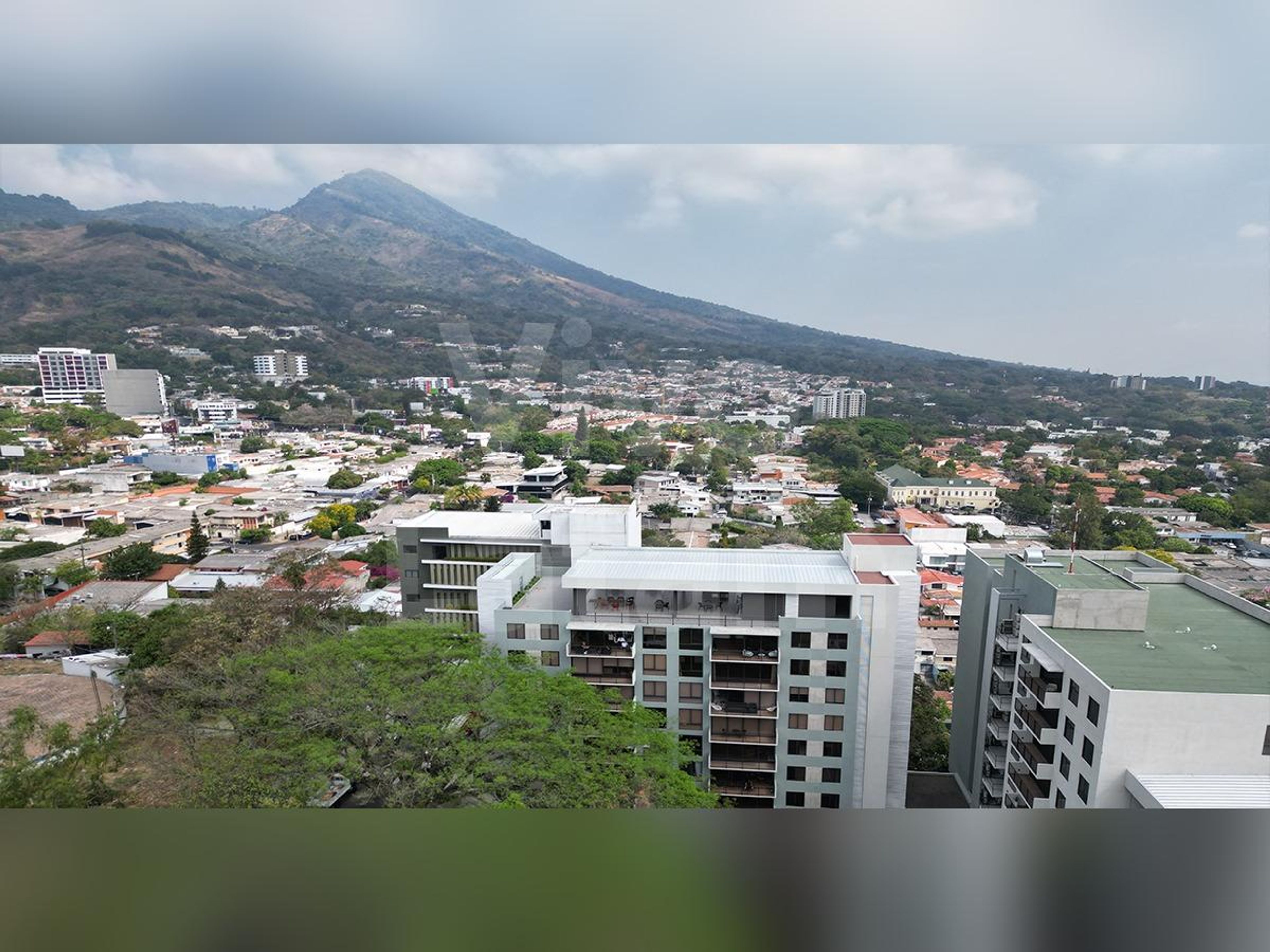 Apartamento en venta y alquiler en Colonia Escalón