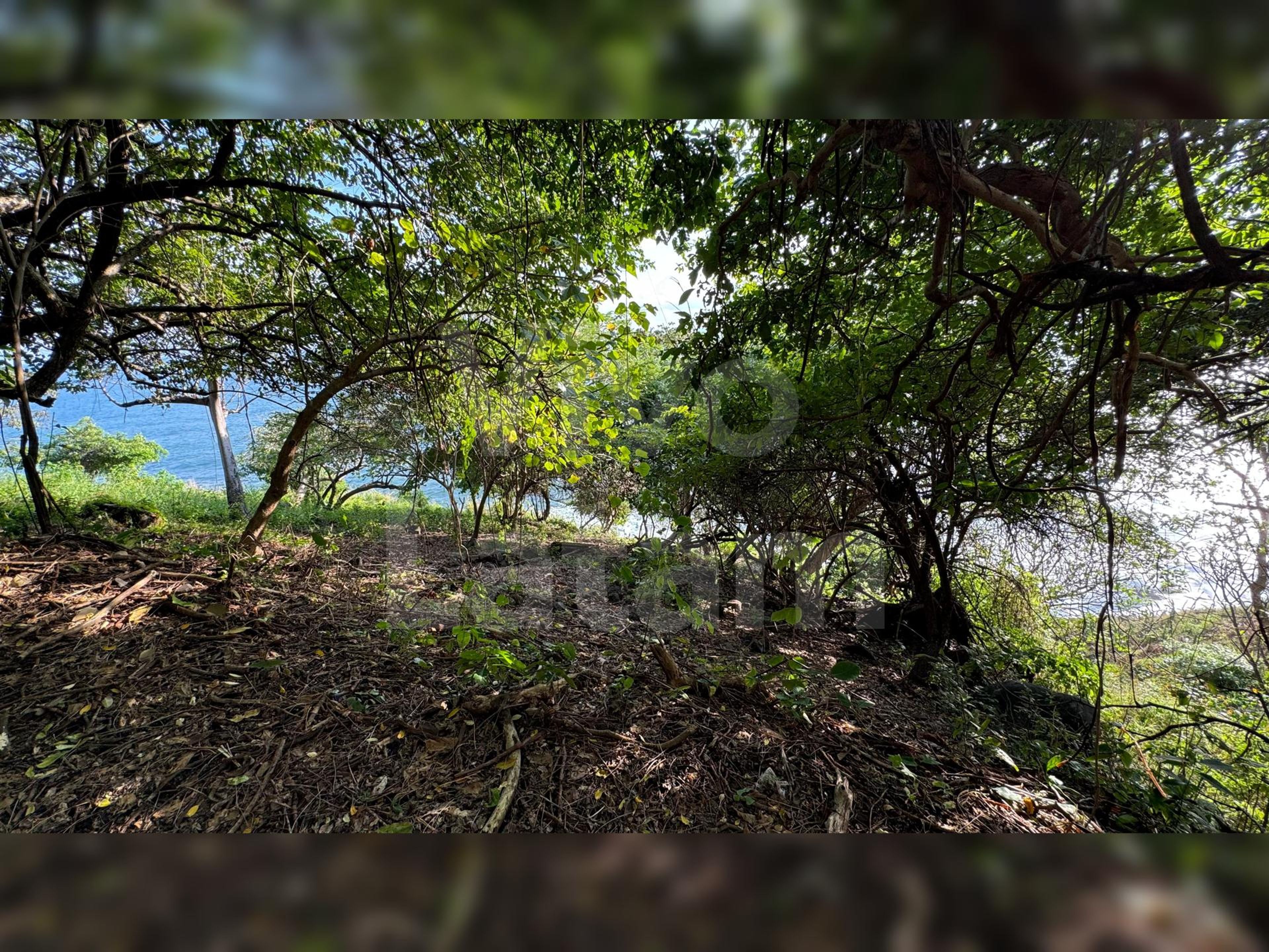 Lote en venta en Tamanique