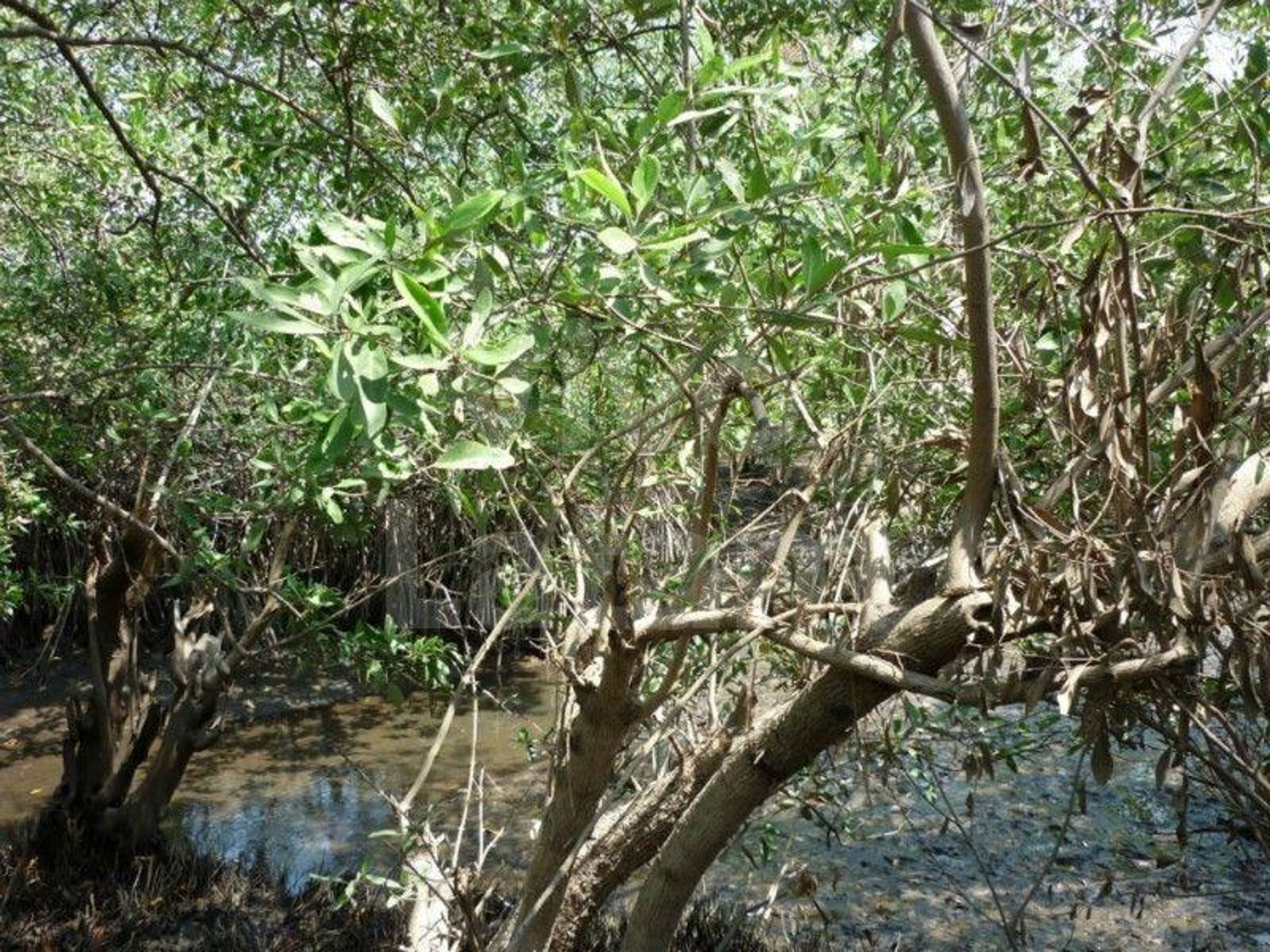 Terreno en venta en Playa Costa del Sol