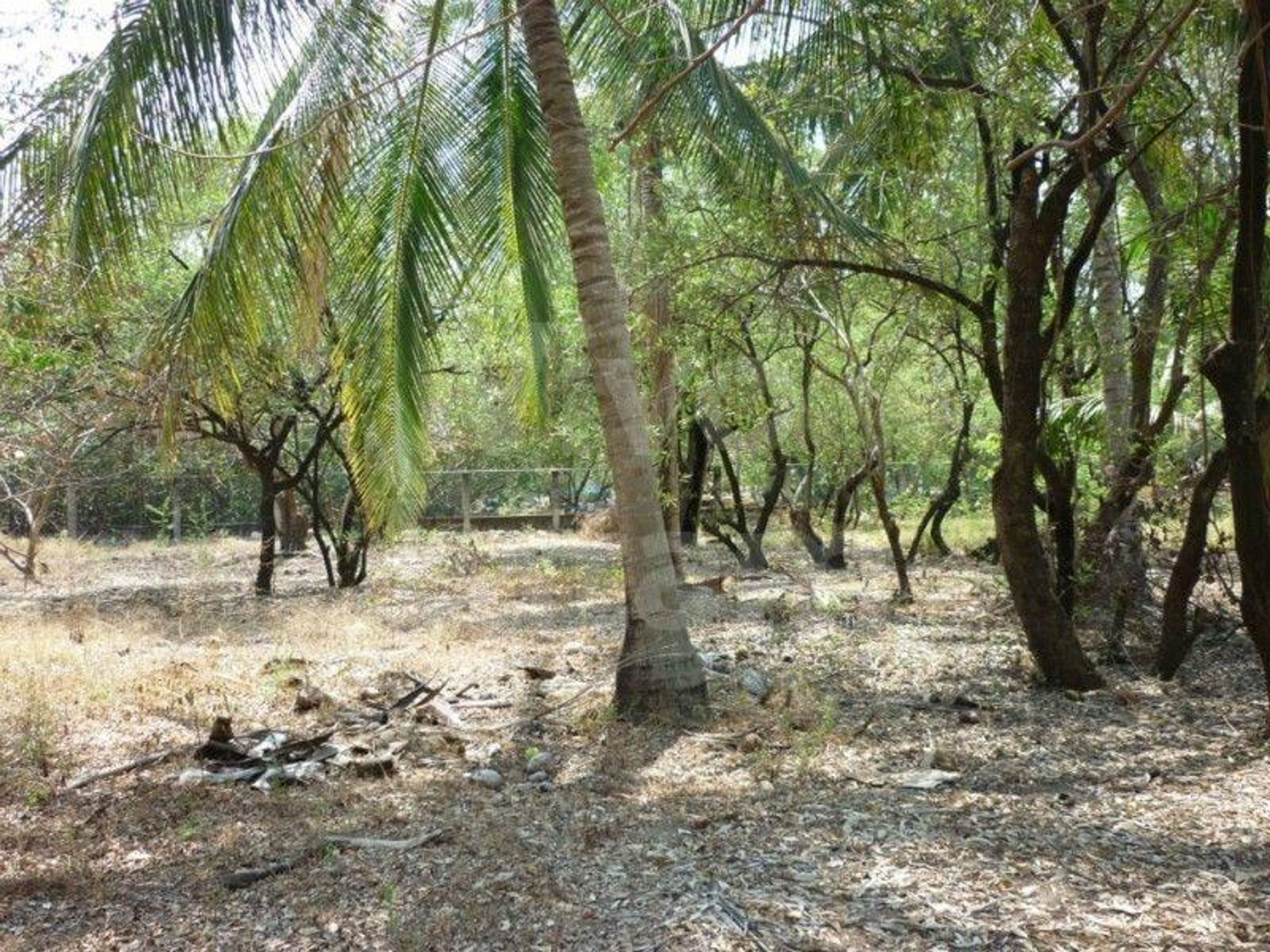 Terreno en venta en Playa Costa del Sol