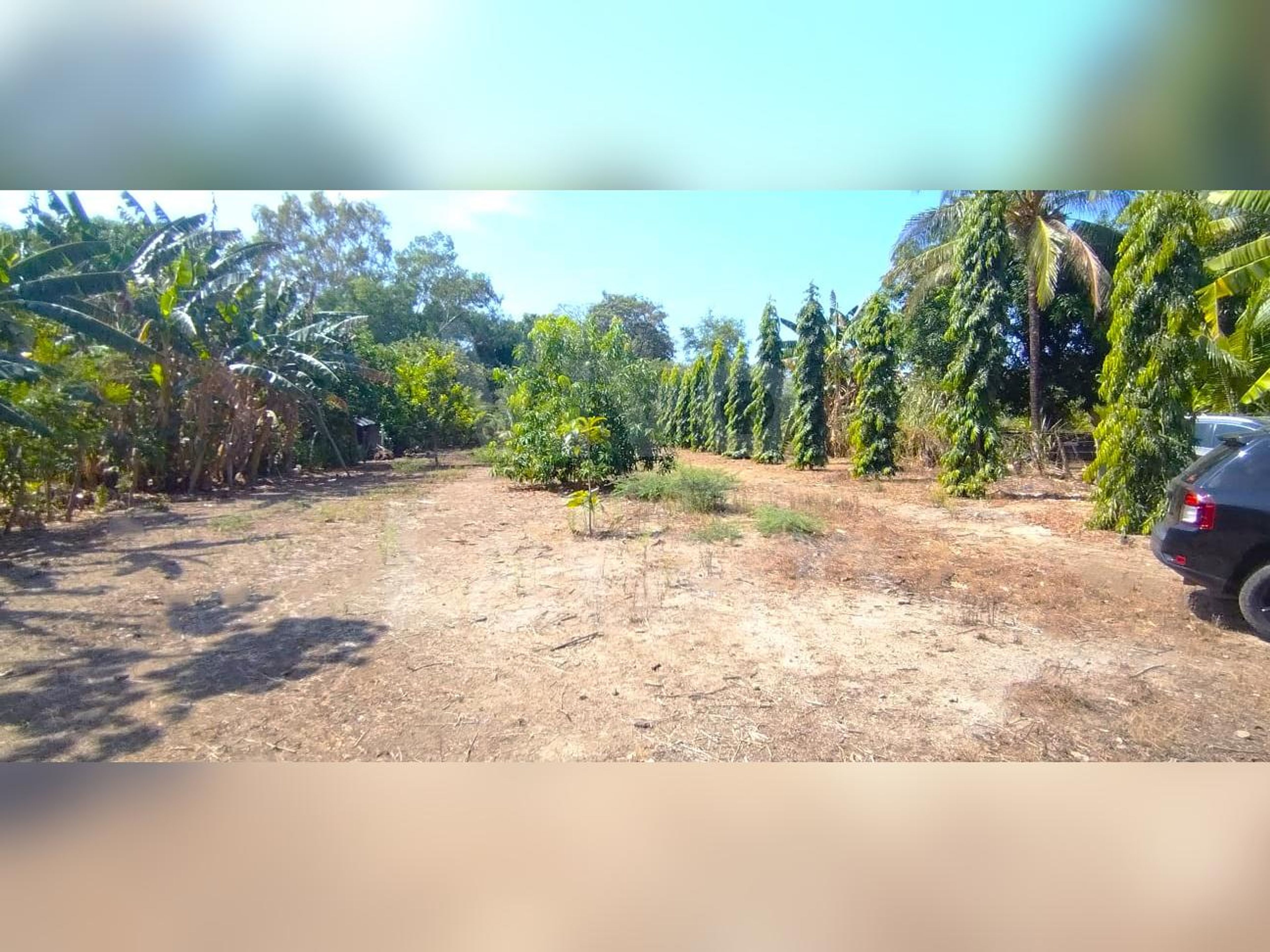Terreno en venta en La Libertad