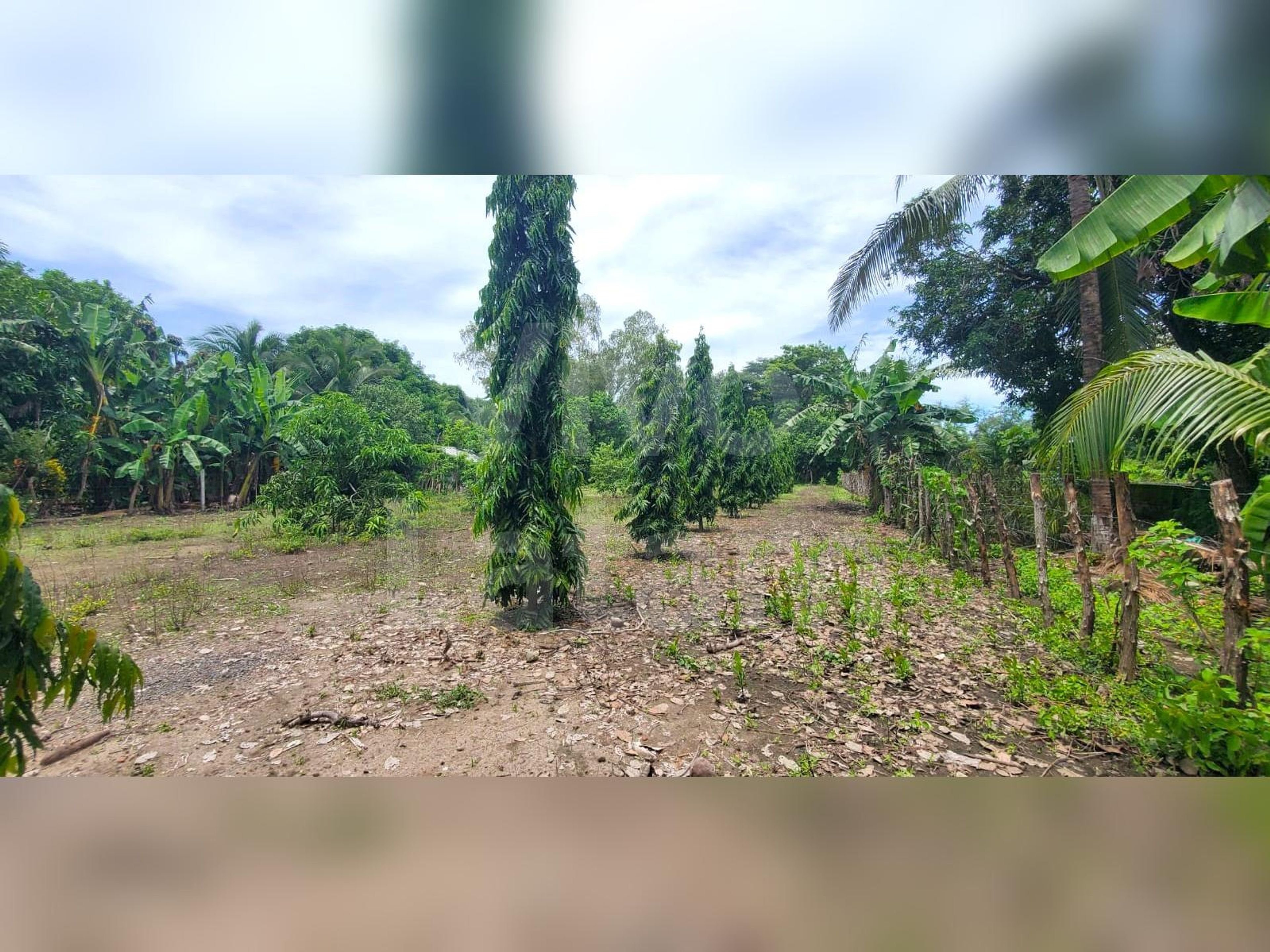 Terreno en venta en La Libertad