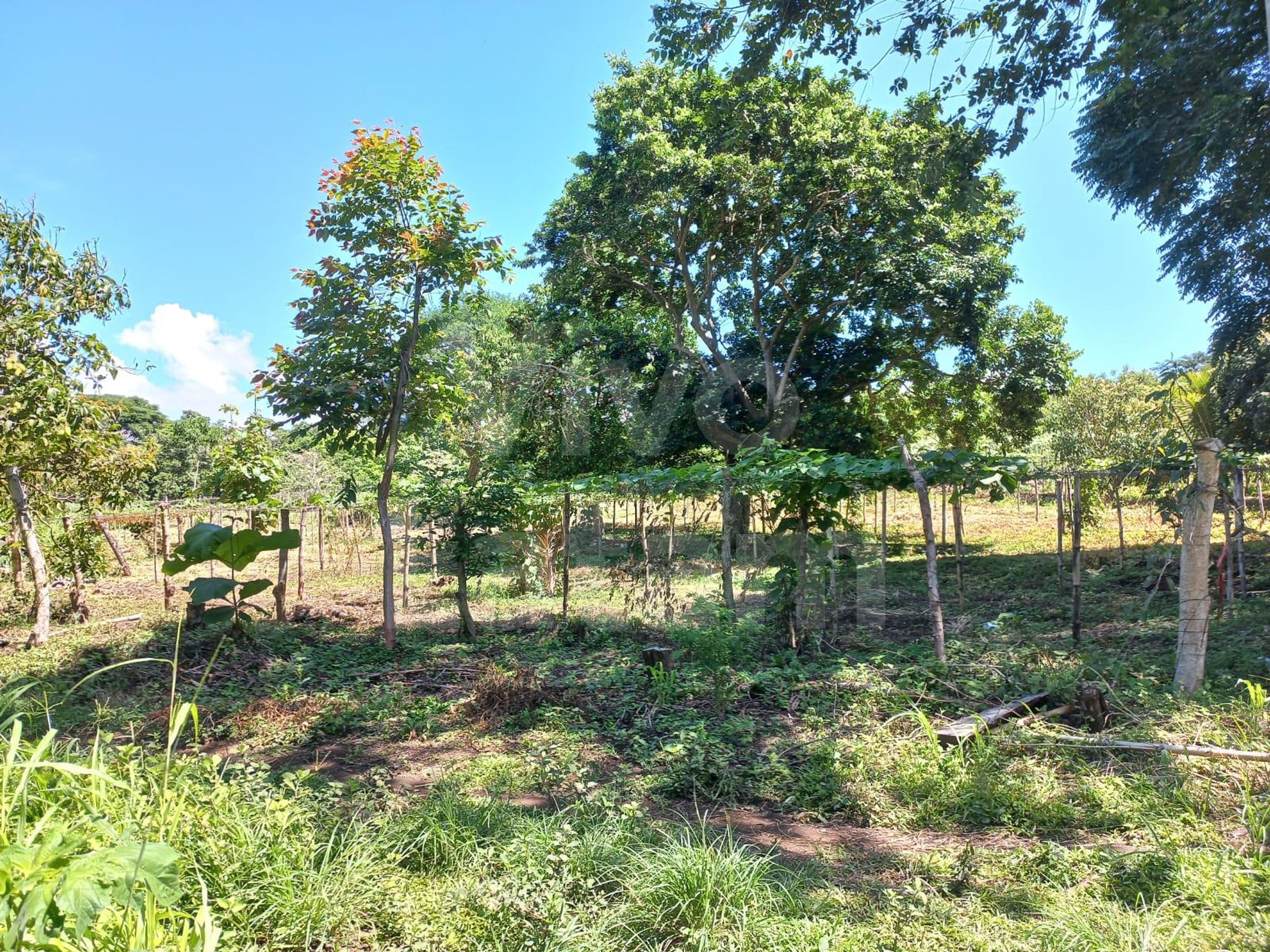 Terreno en venta en Izalco