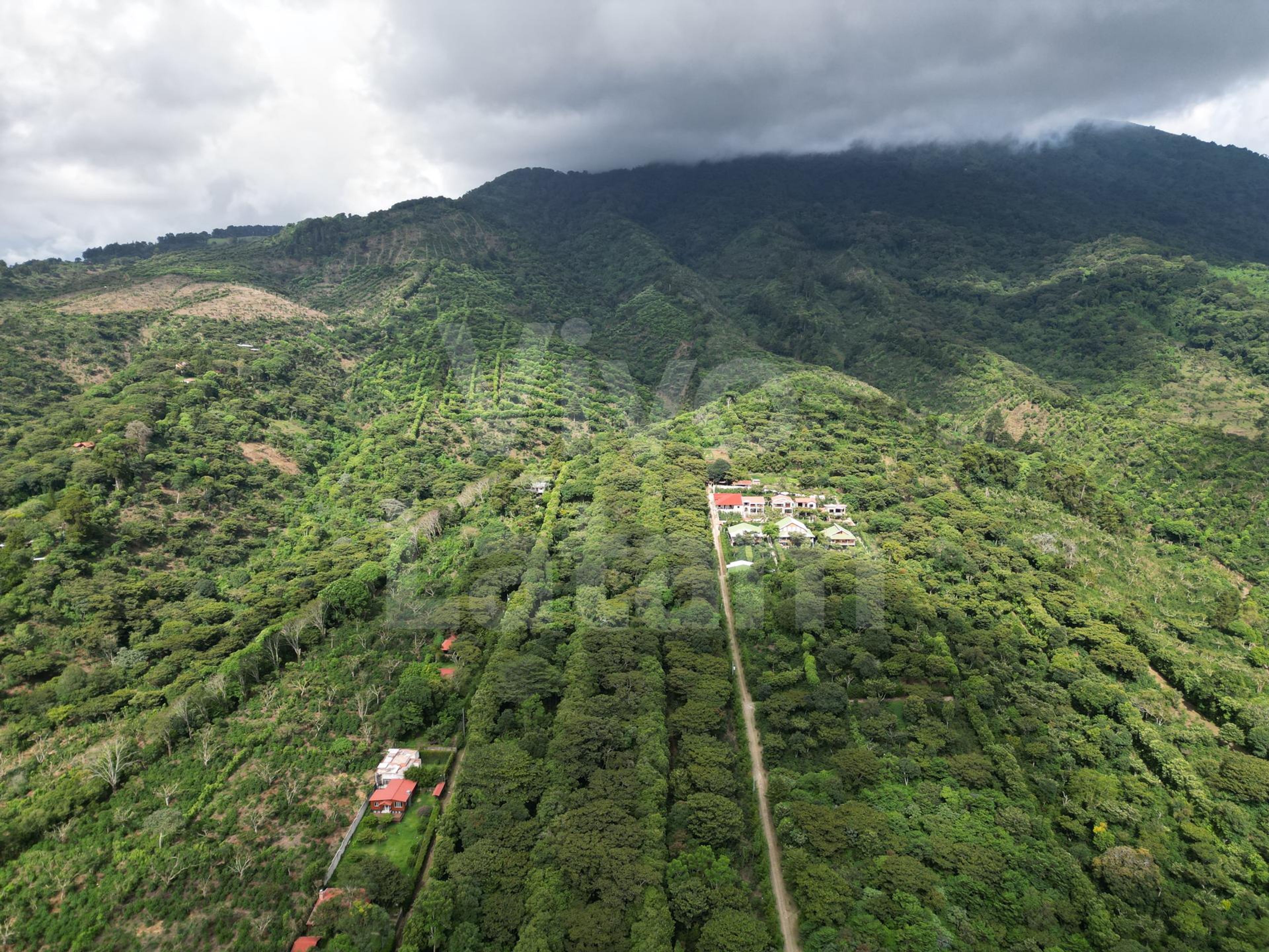 Commercial land for sale in Juayua