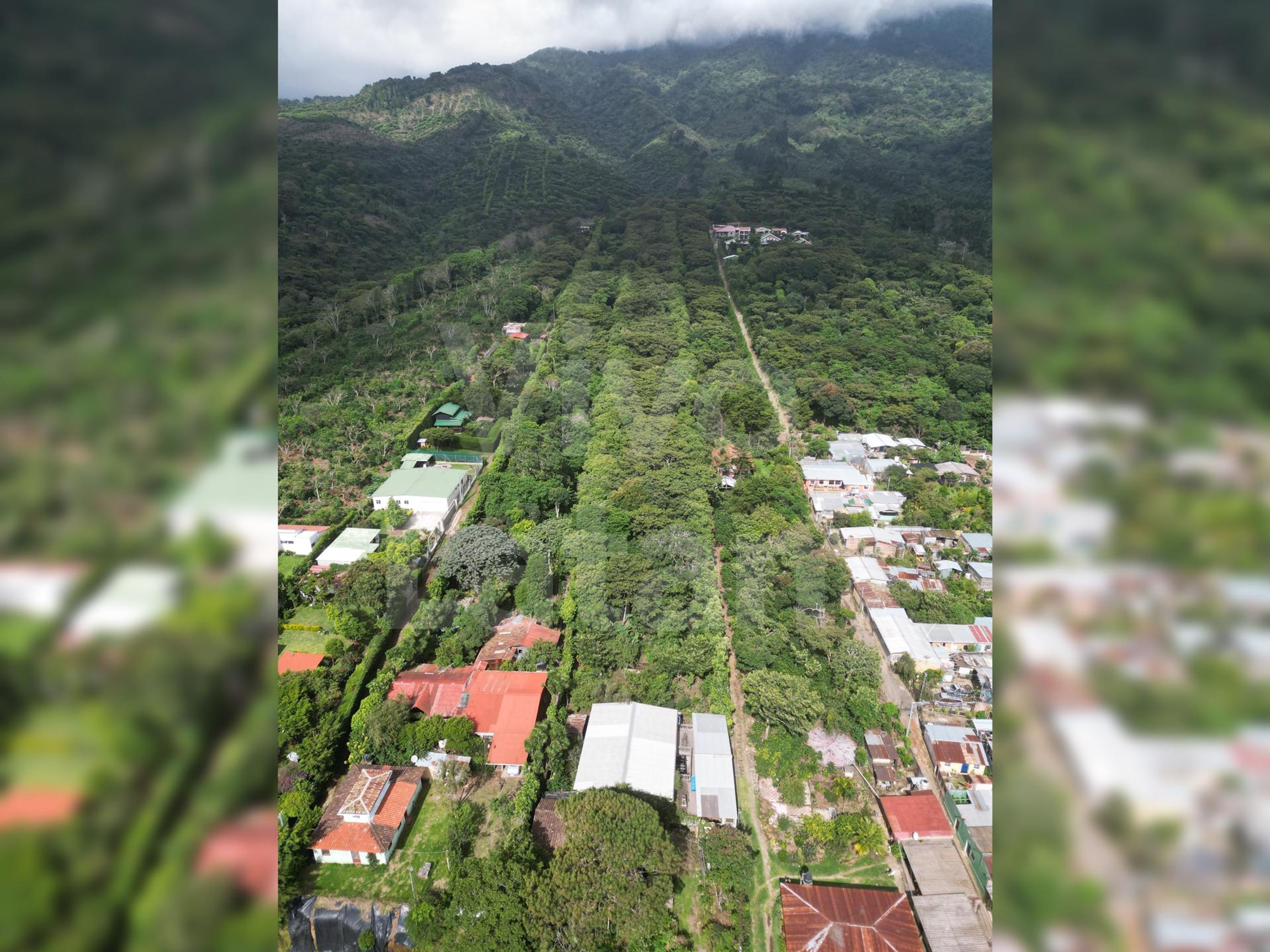 Commercial land for sale in Juayua