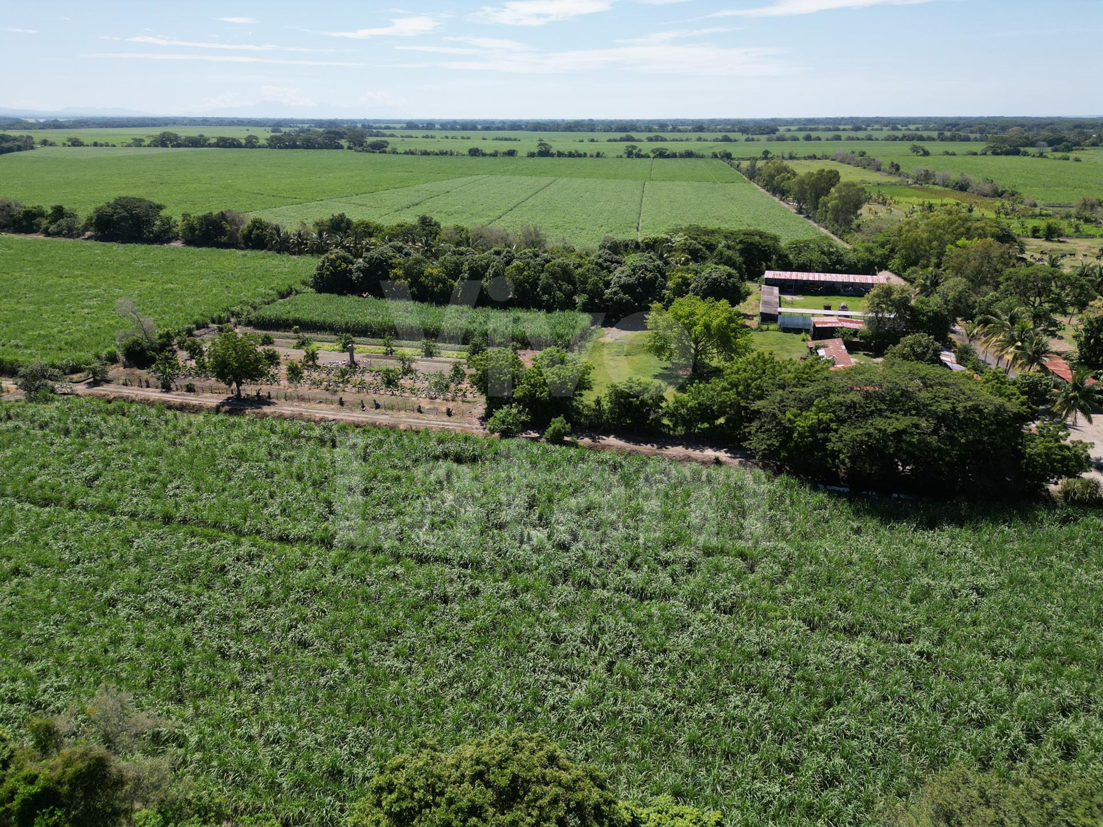 Terreno en venta en San Luis Talpa