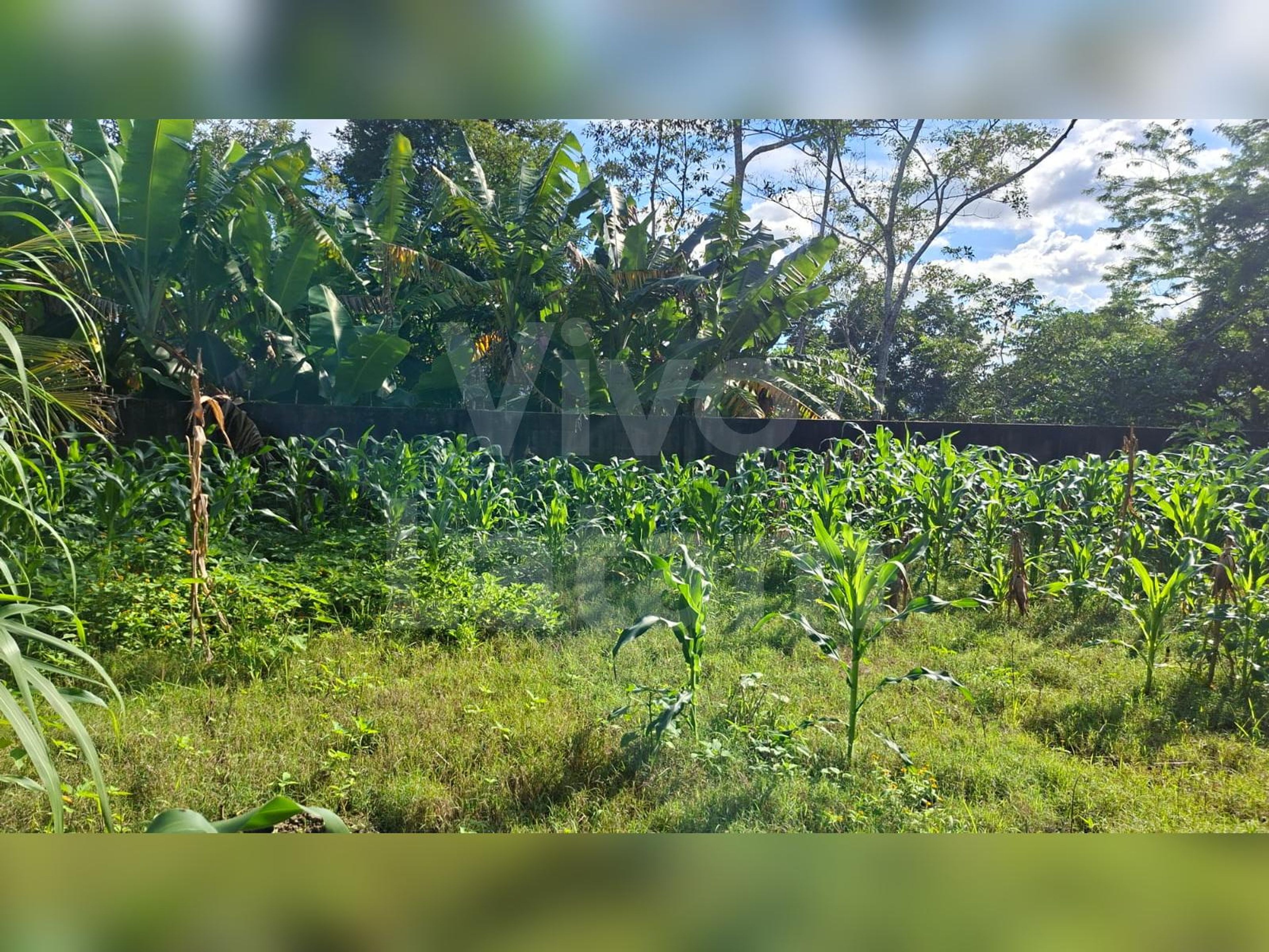 Terreno en venta en El Rosario