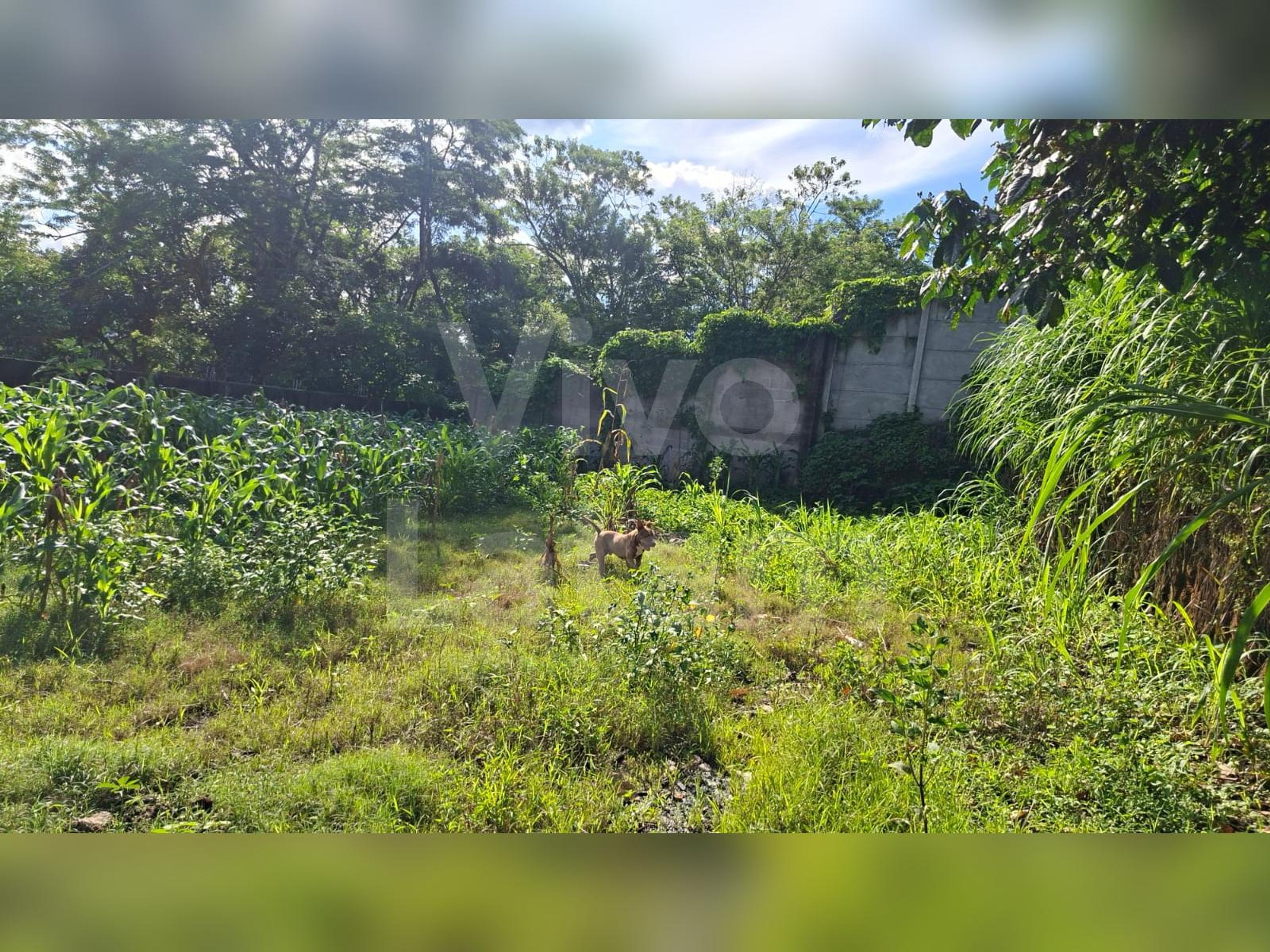 Terreno en venta en El Rosario