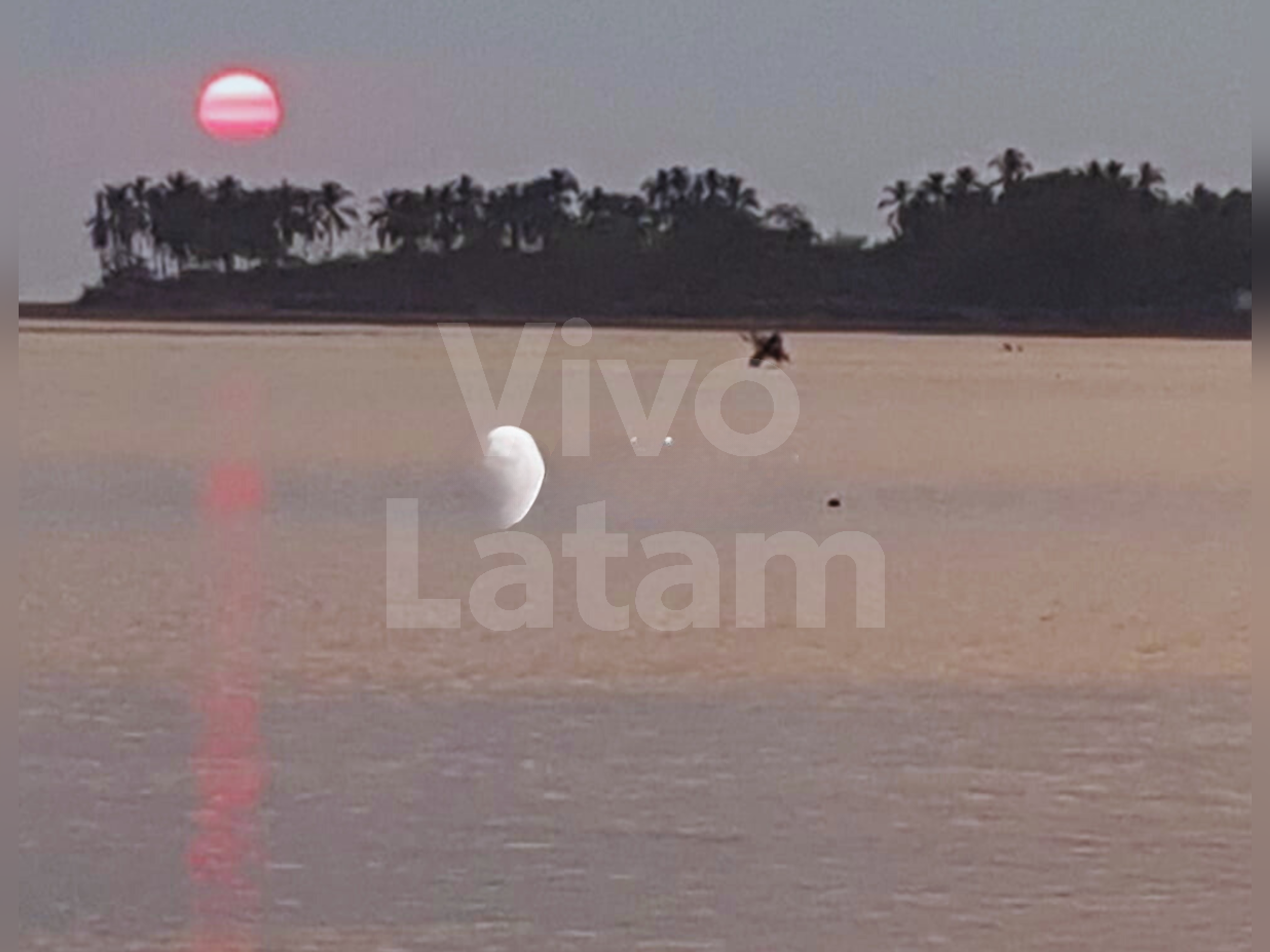 Land for sale in San Francisco Menéndez