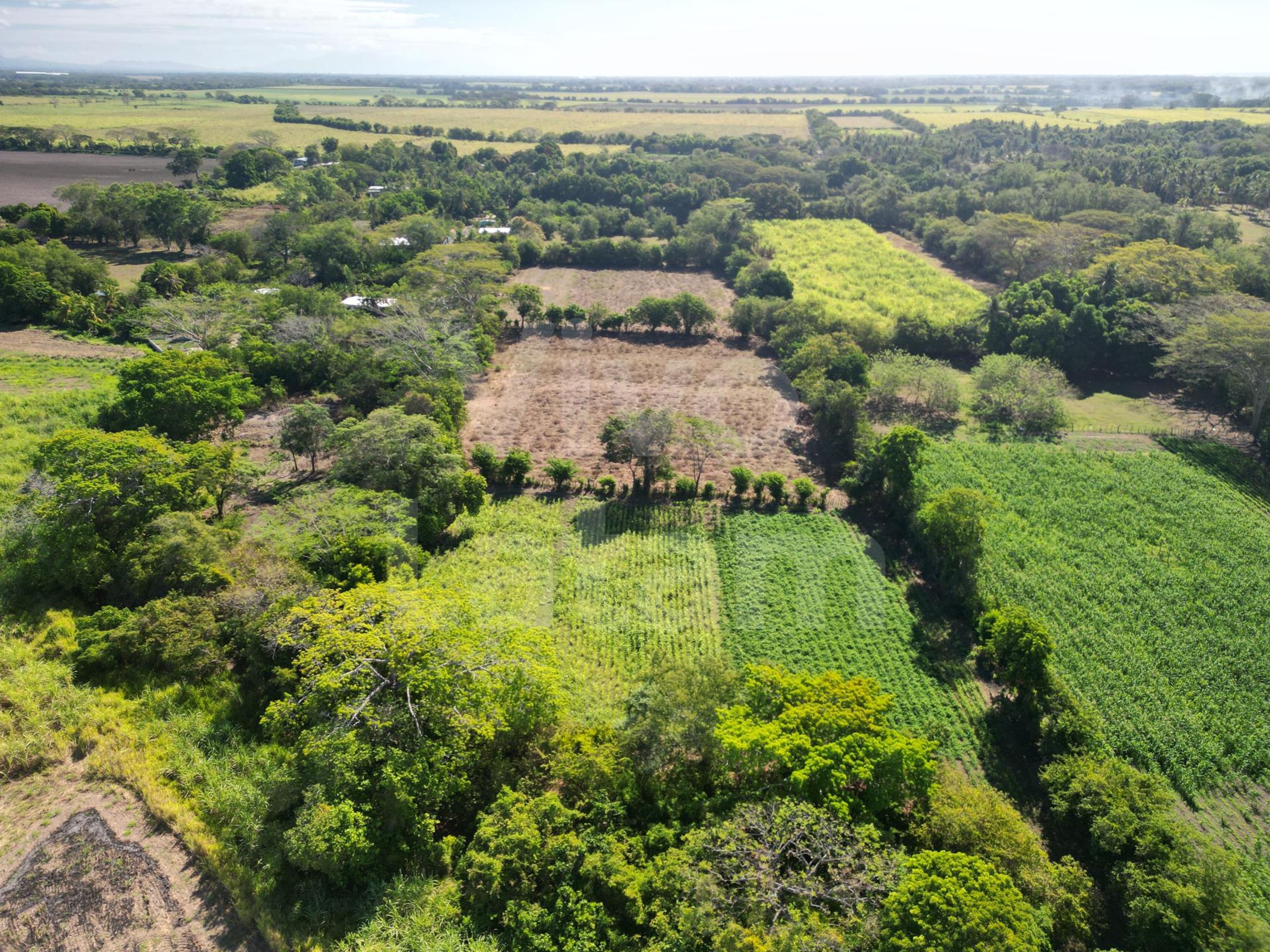 Terreno en venta en San Luis Talpa
