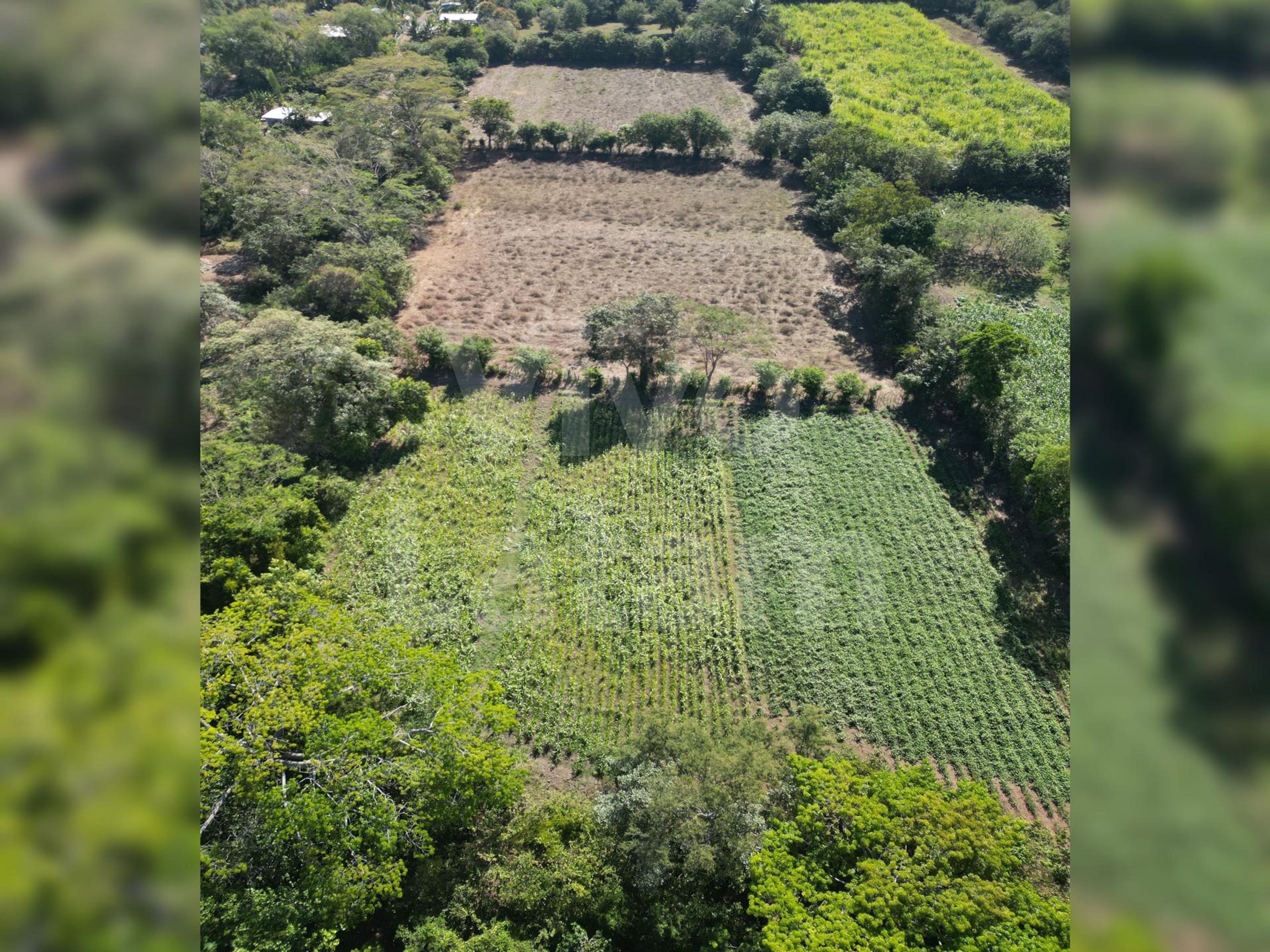 Terreno en venta en San Luis Talpa