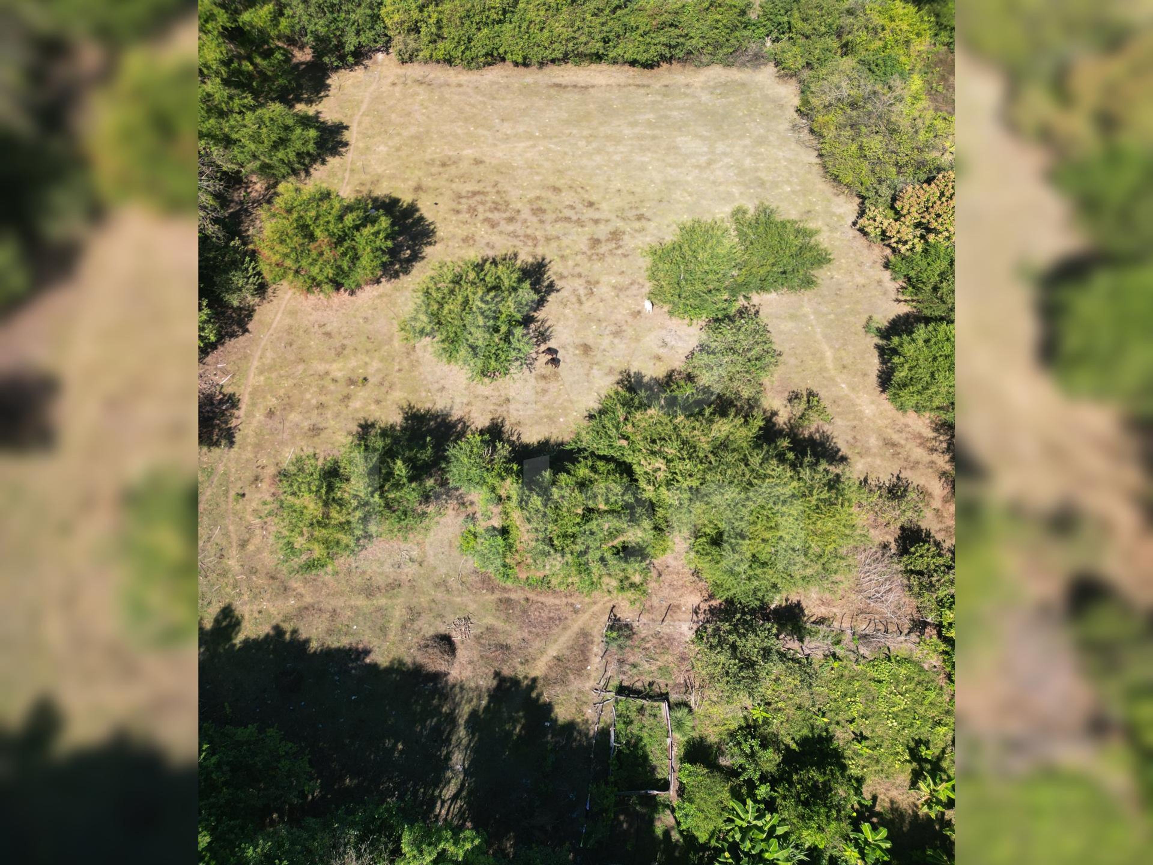 Terreno en venta en San Luis Talpa