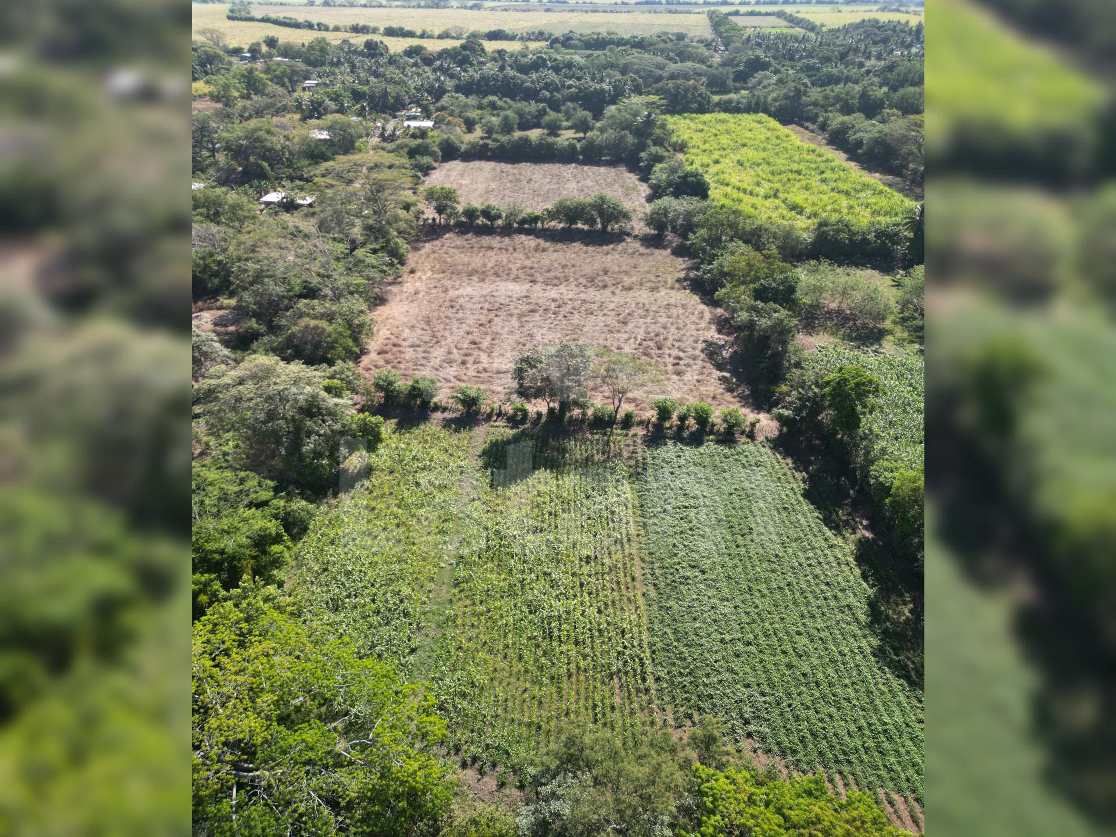 Terreno en venta en San Luis Talpa