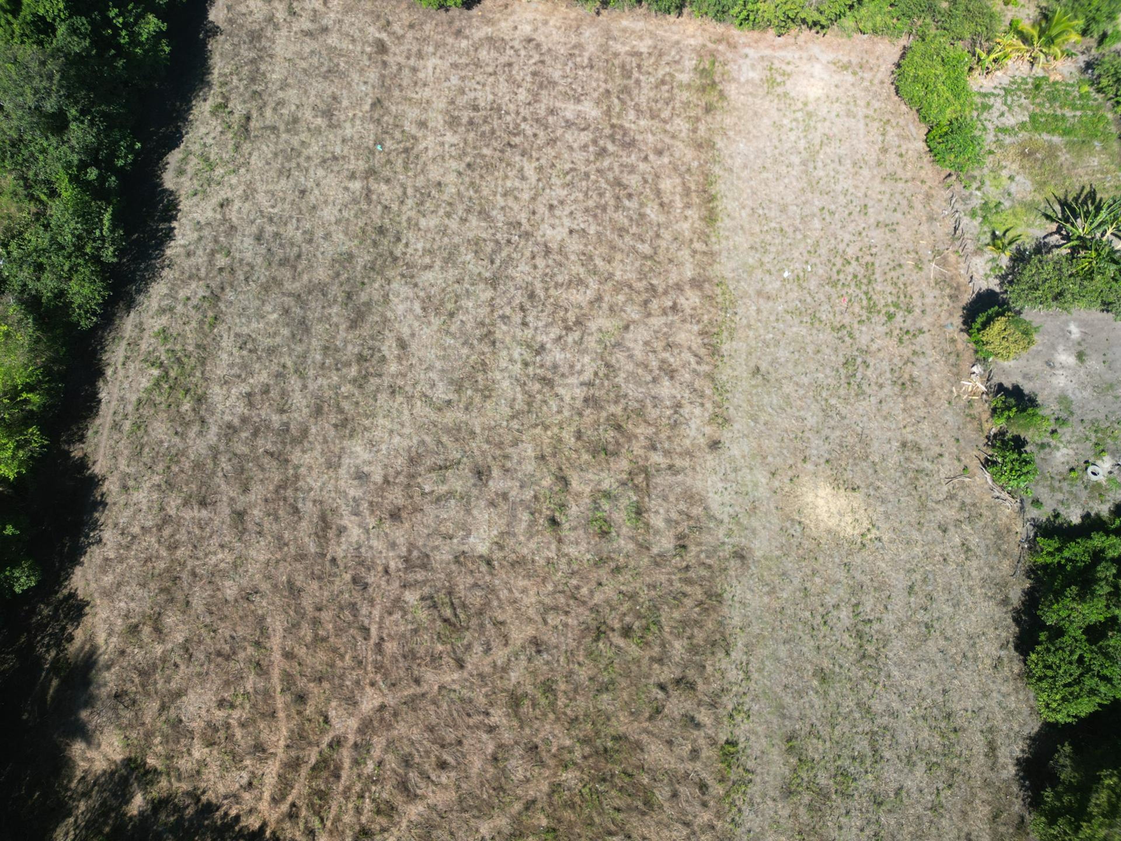 Terreno en venta en San Luis Talpa