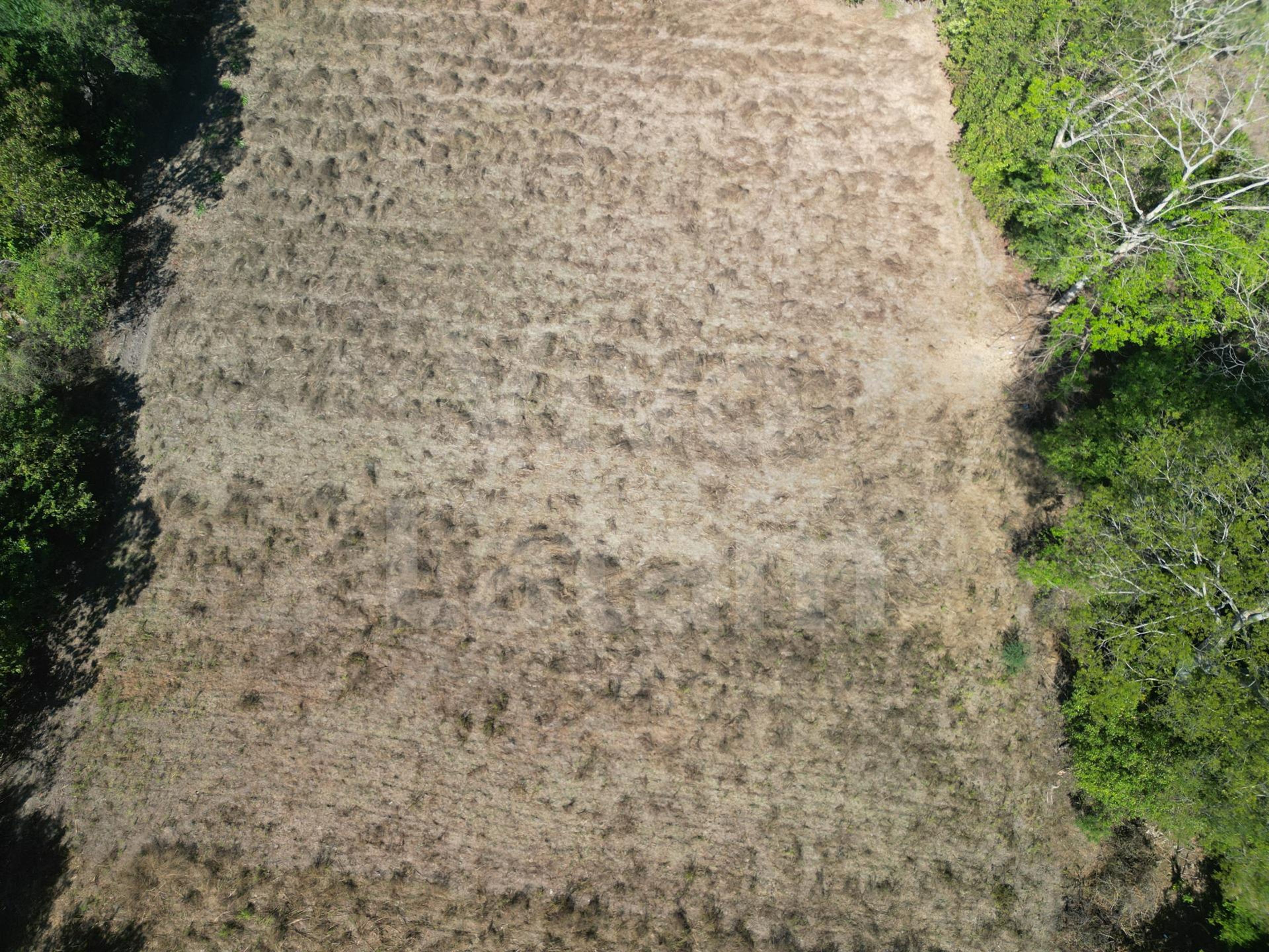 Terreno en venta en San Luis Talpa