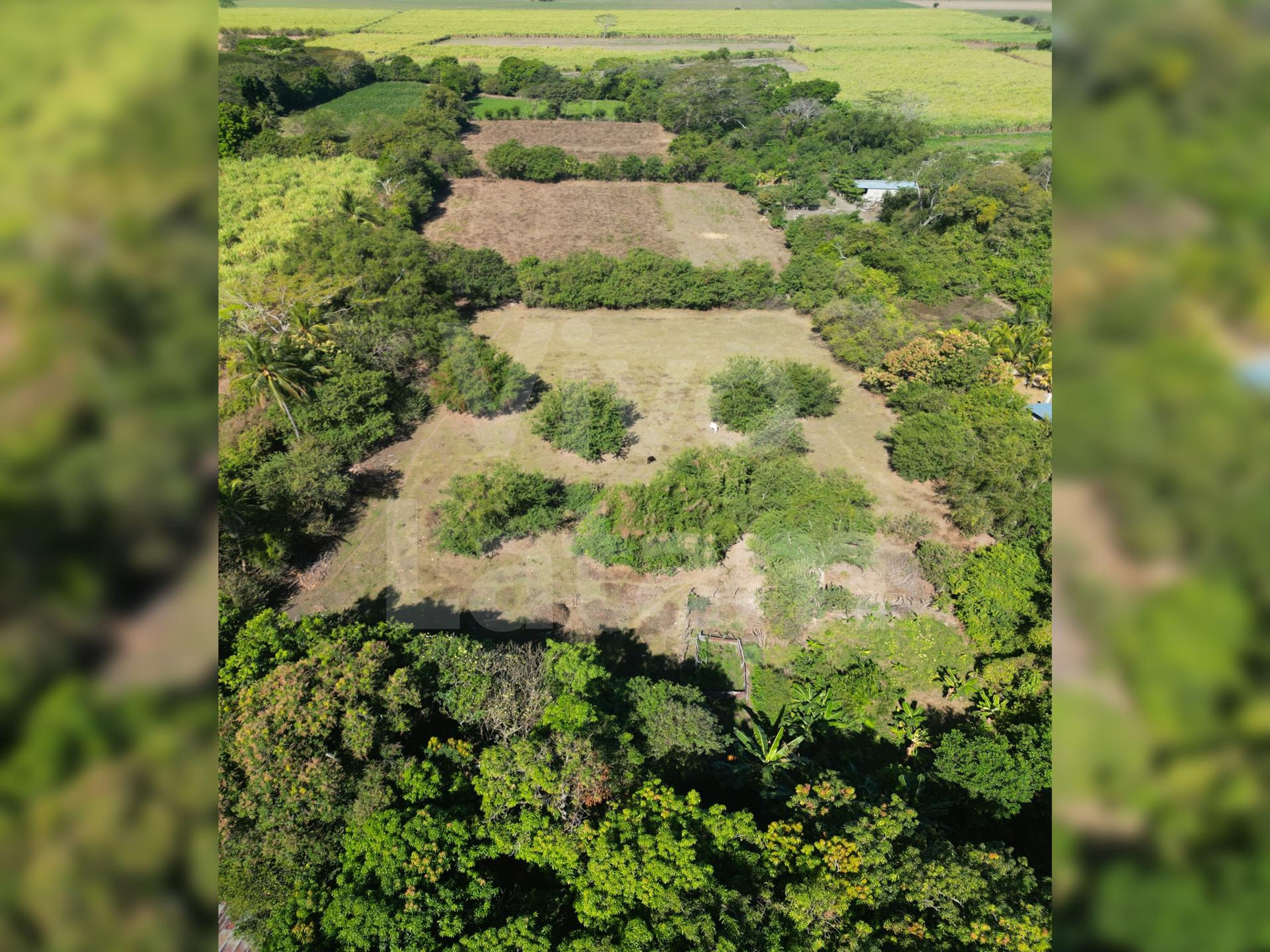 Terreno en venta en San Luis Talpa
