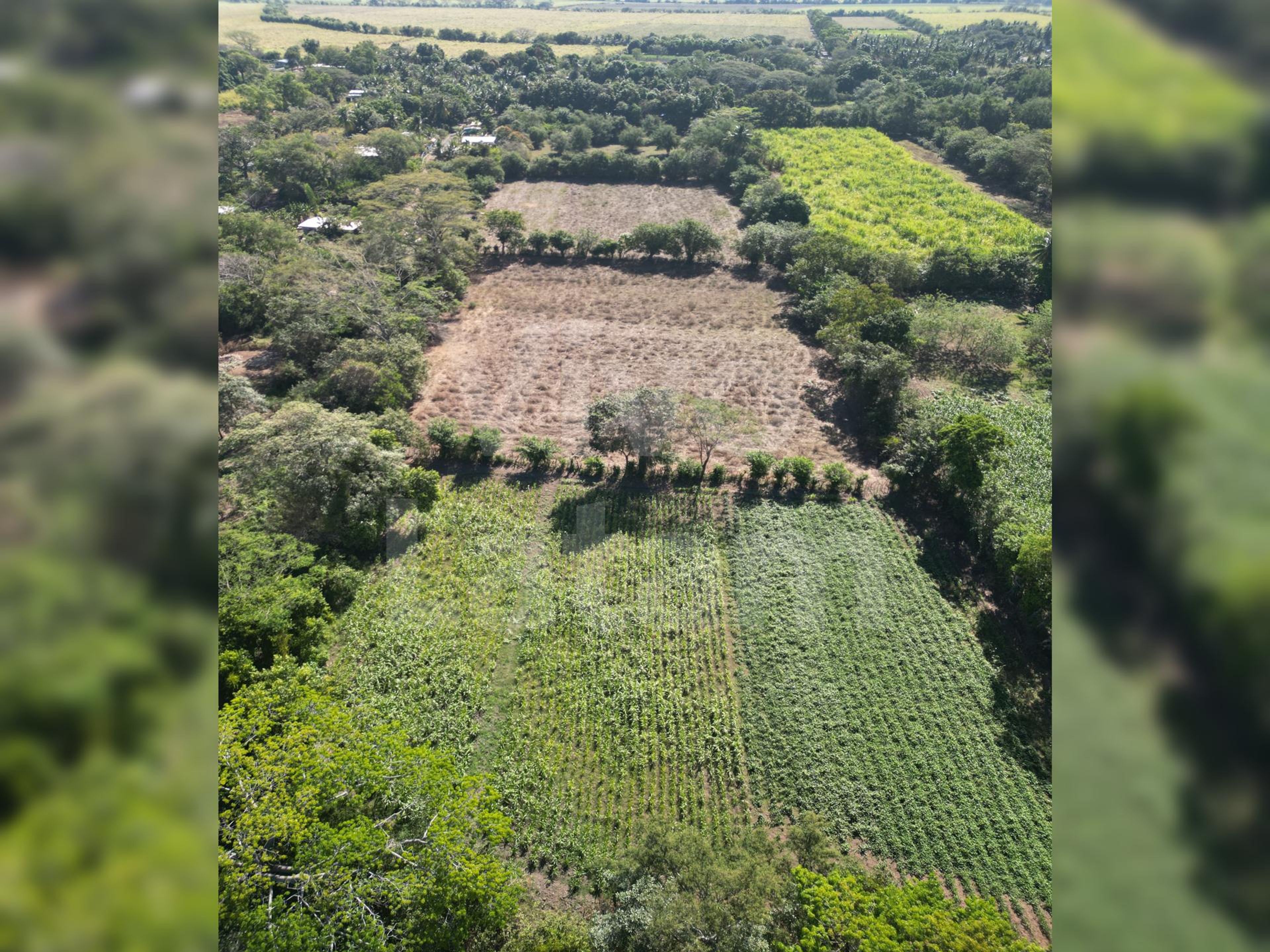 Terreno en venta en San Luis Talpa