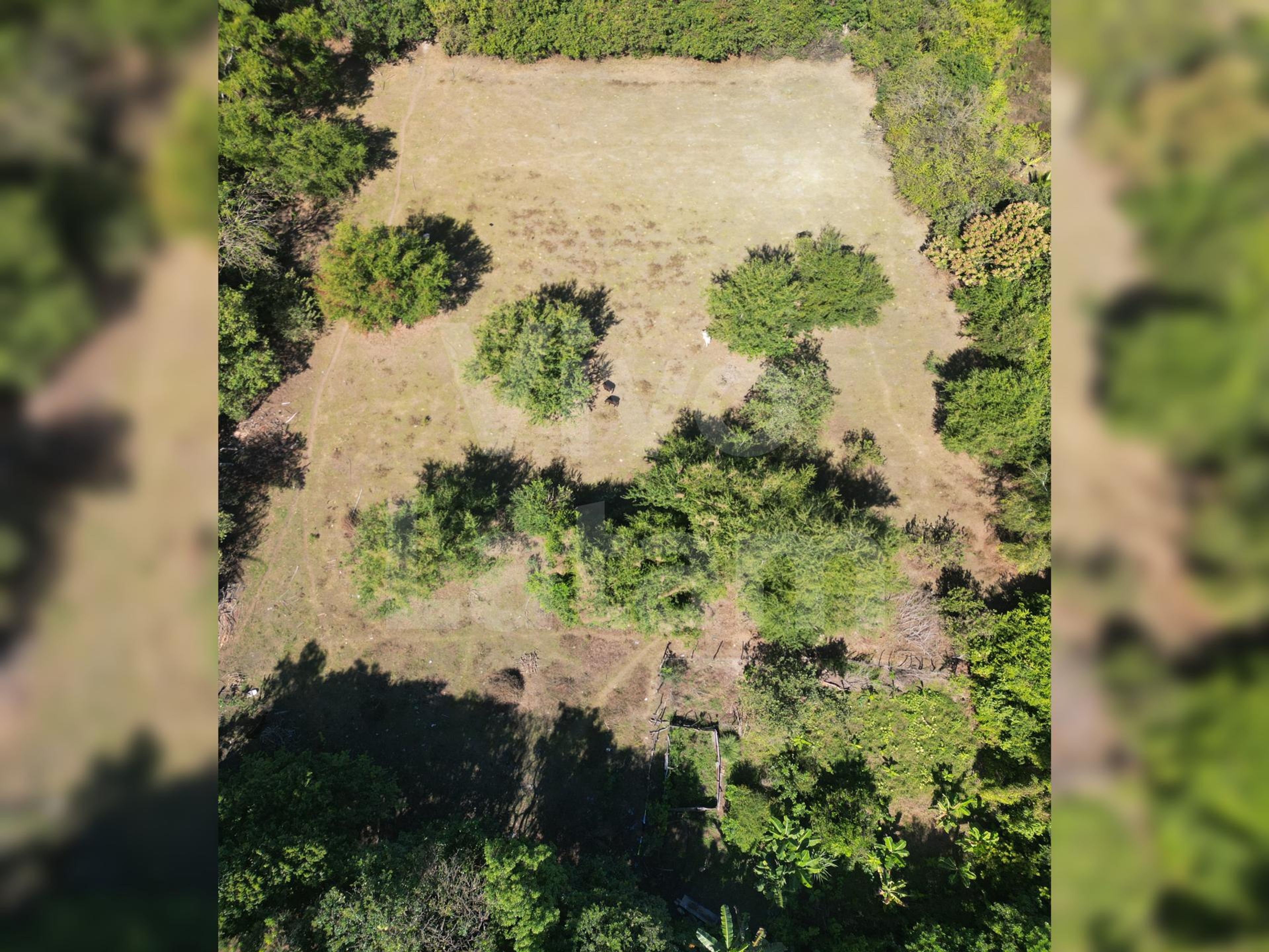 Terreno en venta en San Luis Talpa